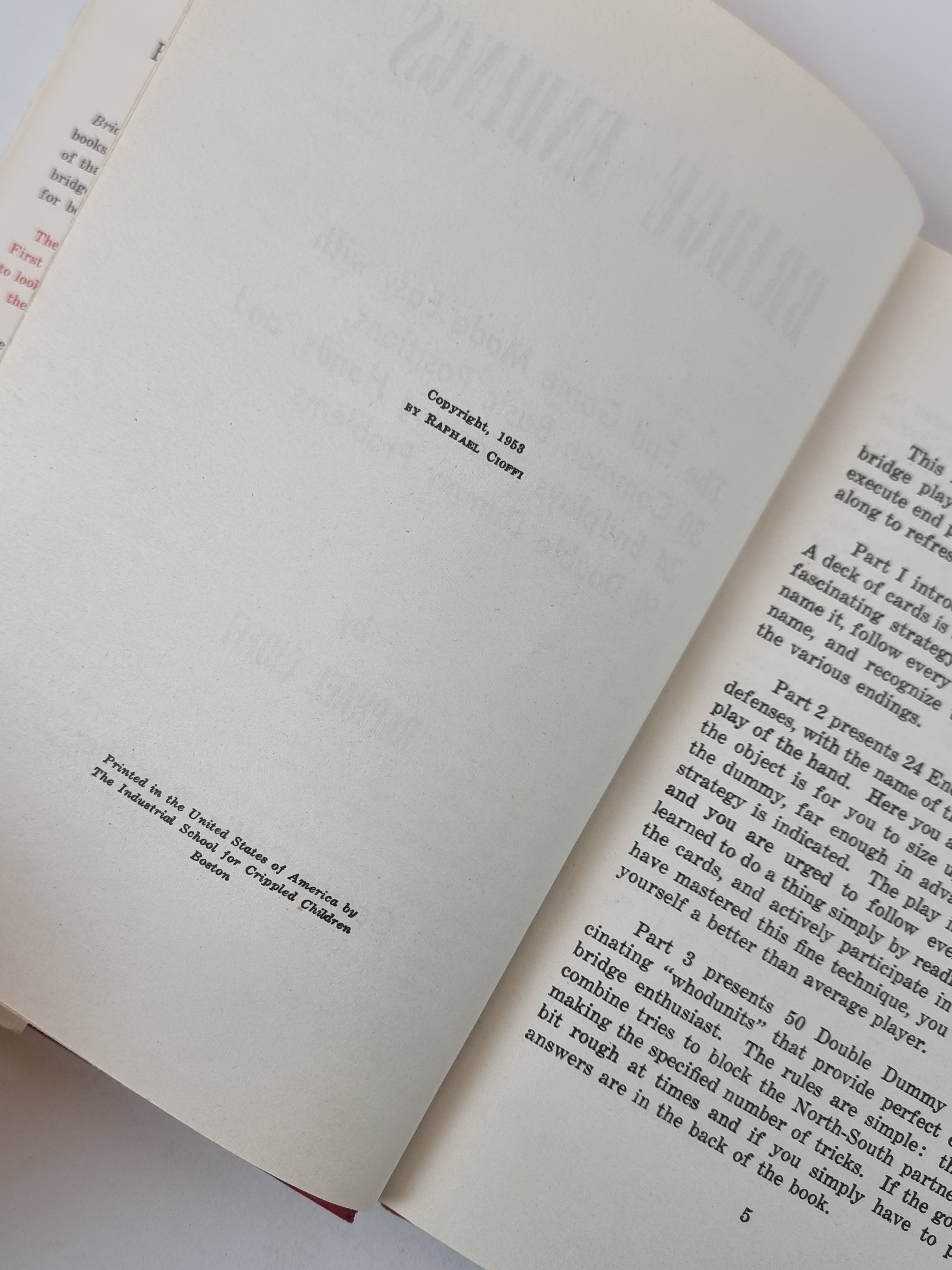 Bridge Endings, Raphael Cioffi — 1st Edition
