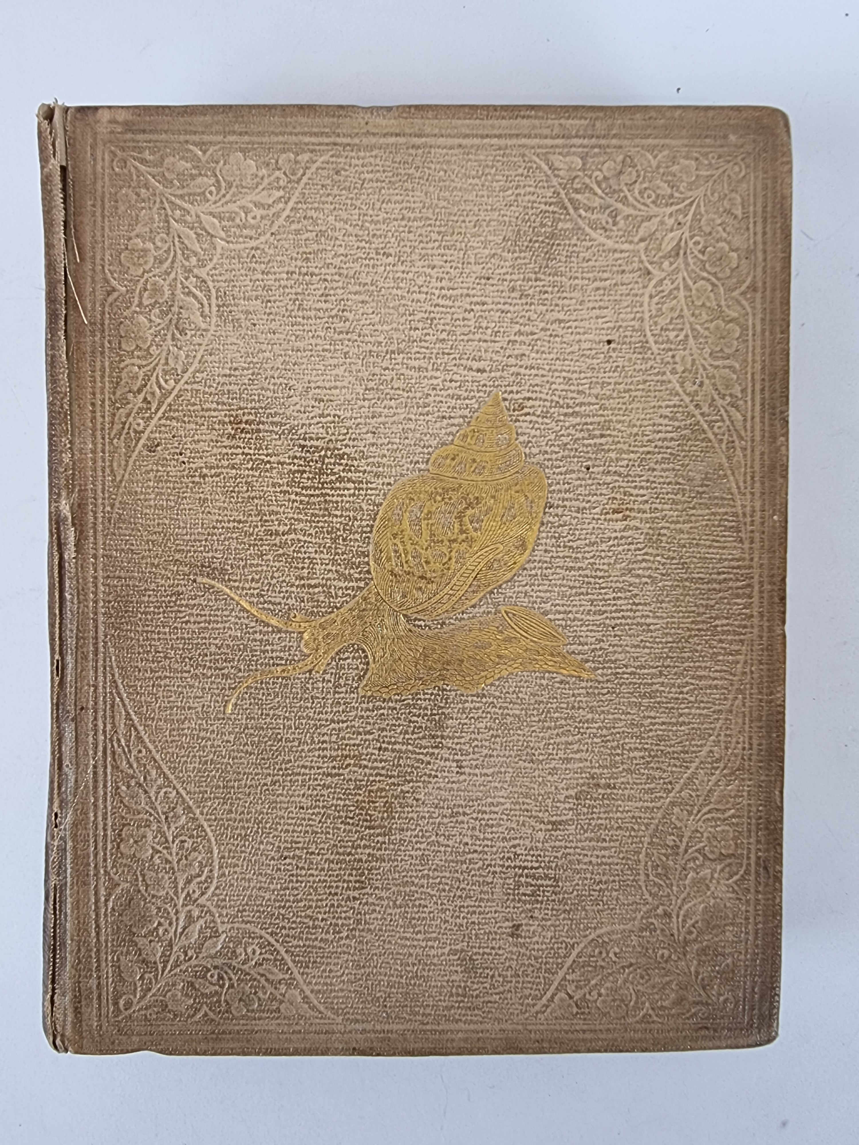 A Popular History of the Mollusca, Mary Roberts — 1st Edition