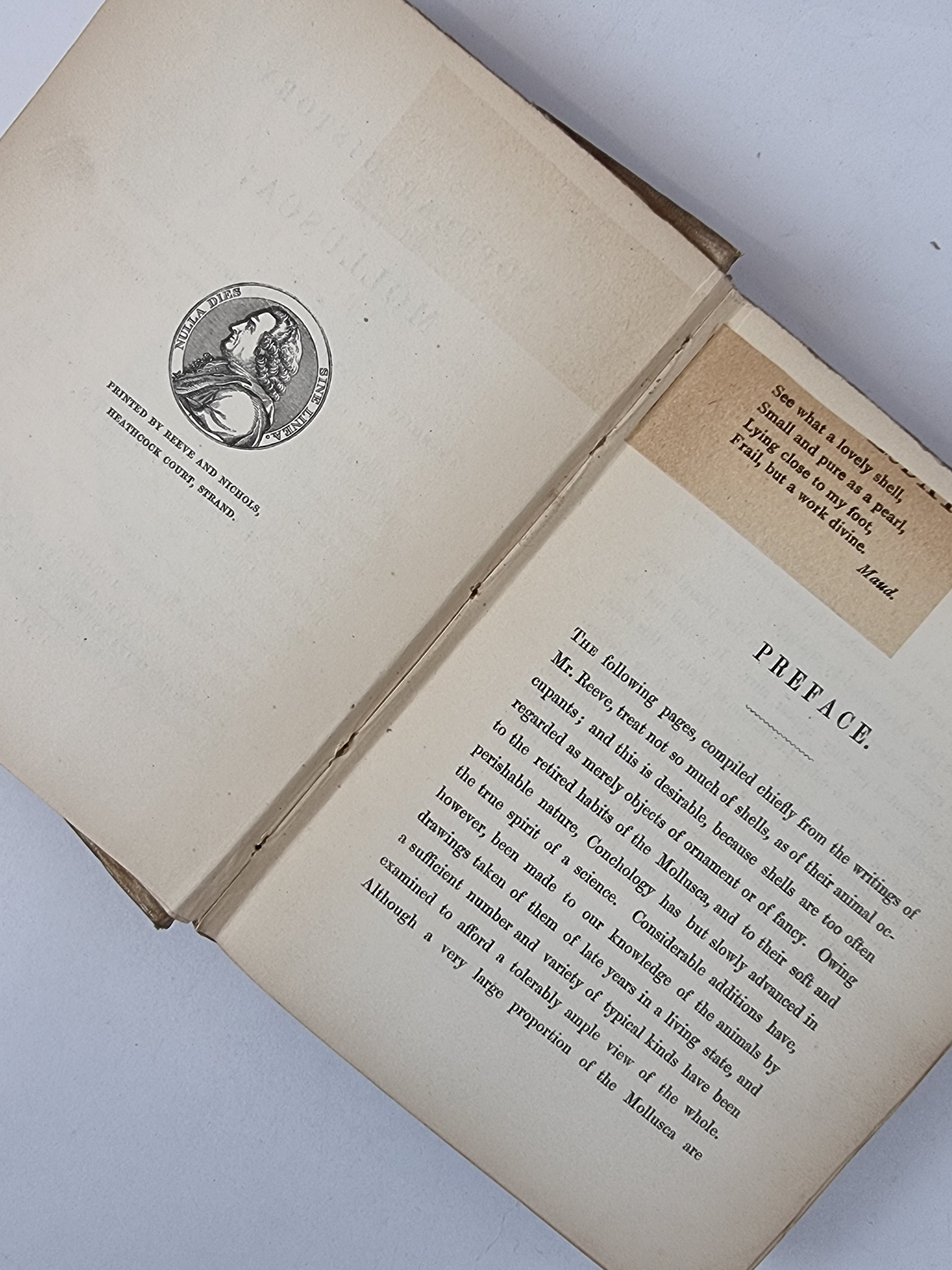 A Popular History of the Mollusca, Mary Roberts — 1st Edition
