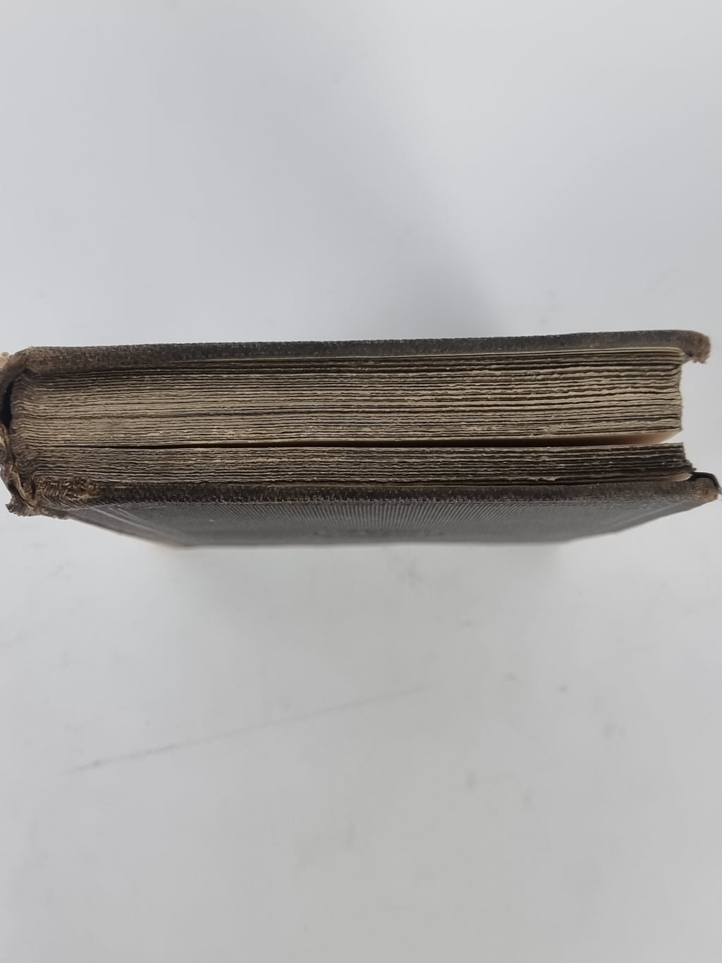 On The Popular Names of British Plants, R.C.A. Prior — 2nd Edition