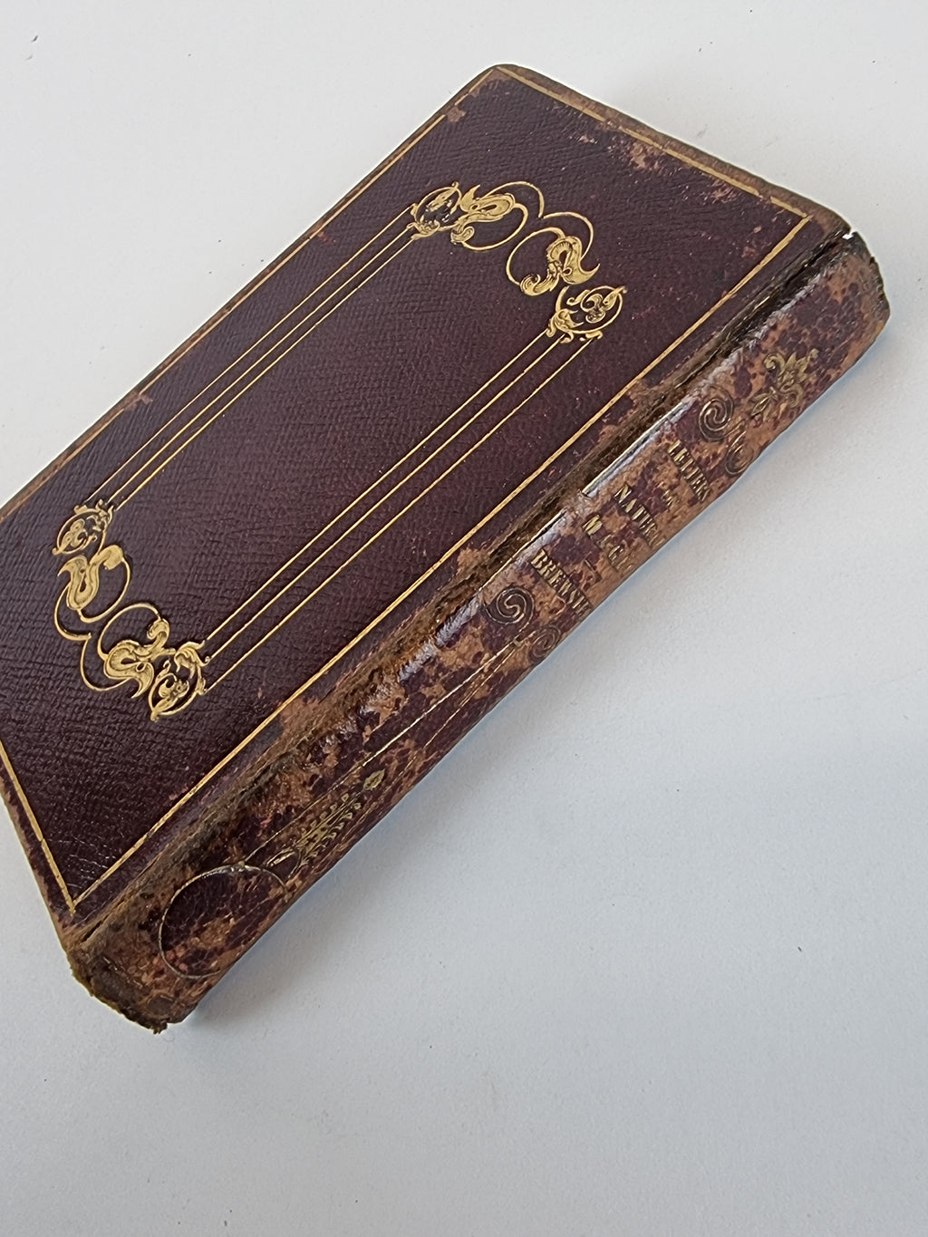 Letters of Natural Magic, Sir David Brewster — 1st Edition