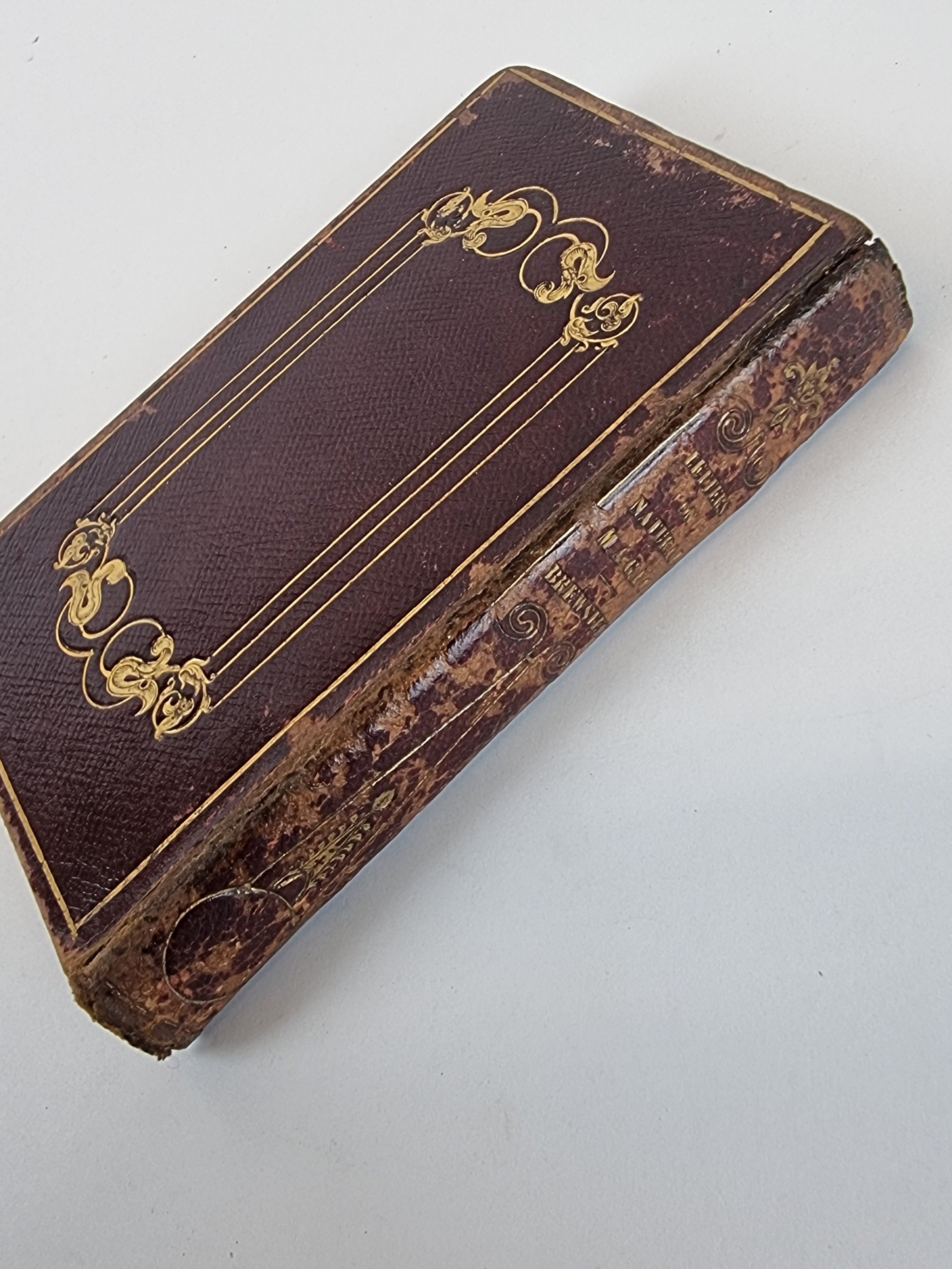 Letters of Natural Magic, Sir David Brewster — 1st Edition