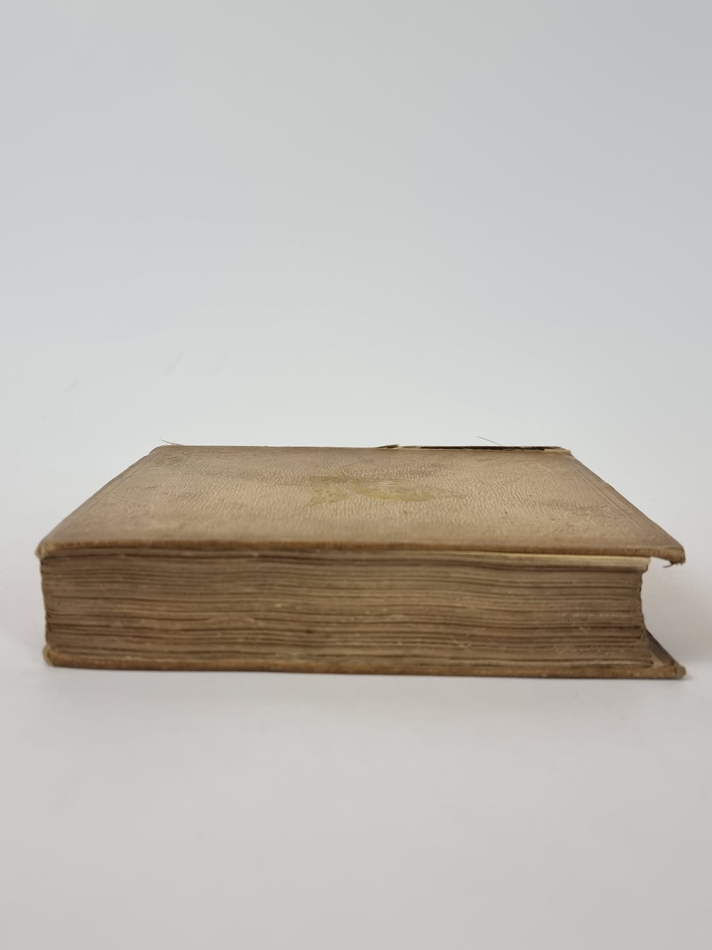 A Popular History of the Mollusca, Mary Roberts — 1st Edition