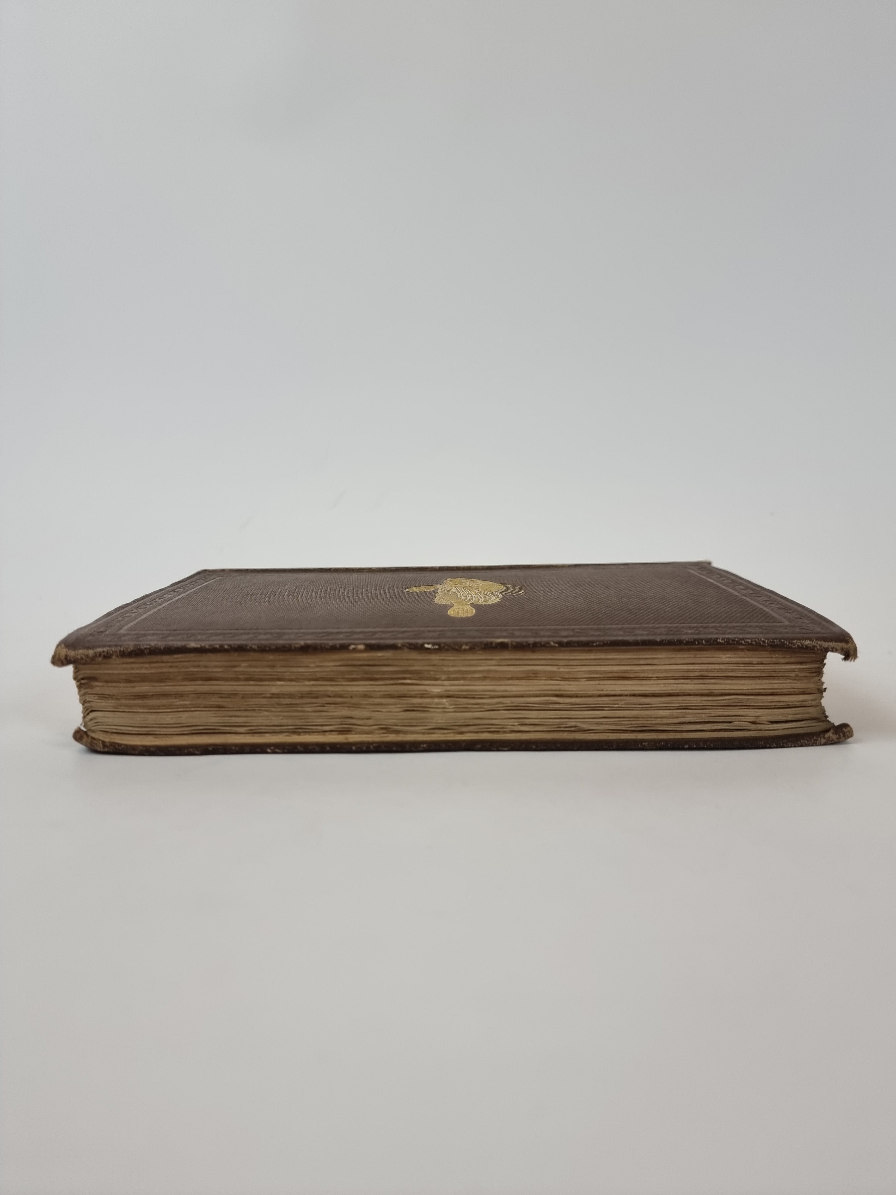 The Sea and Its Living Wonders, Dr. G. Hartwig — 1st Presentation Copy