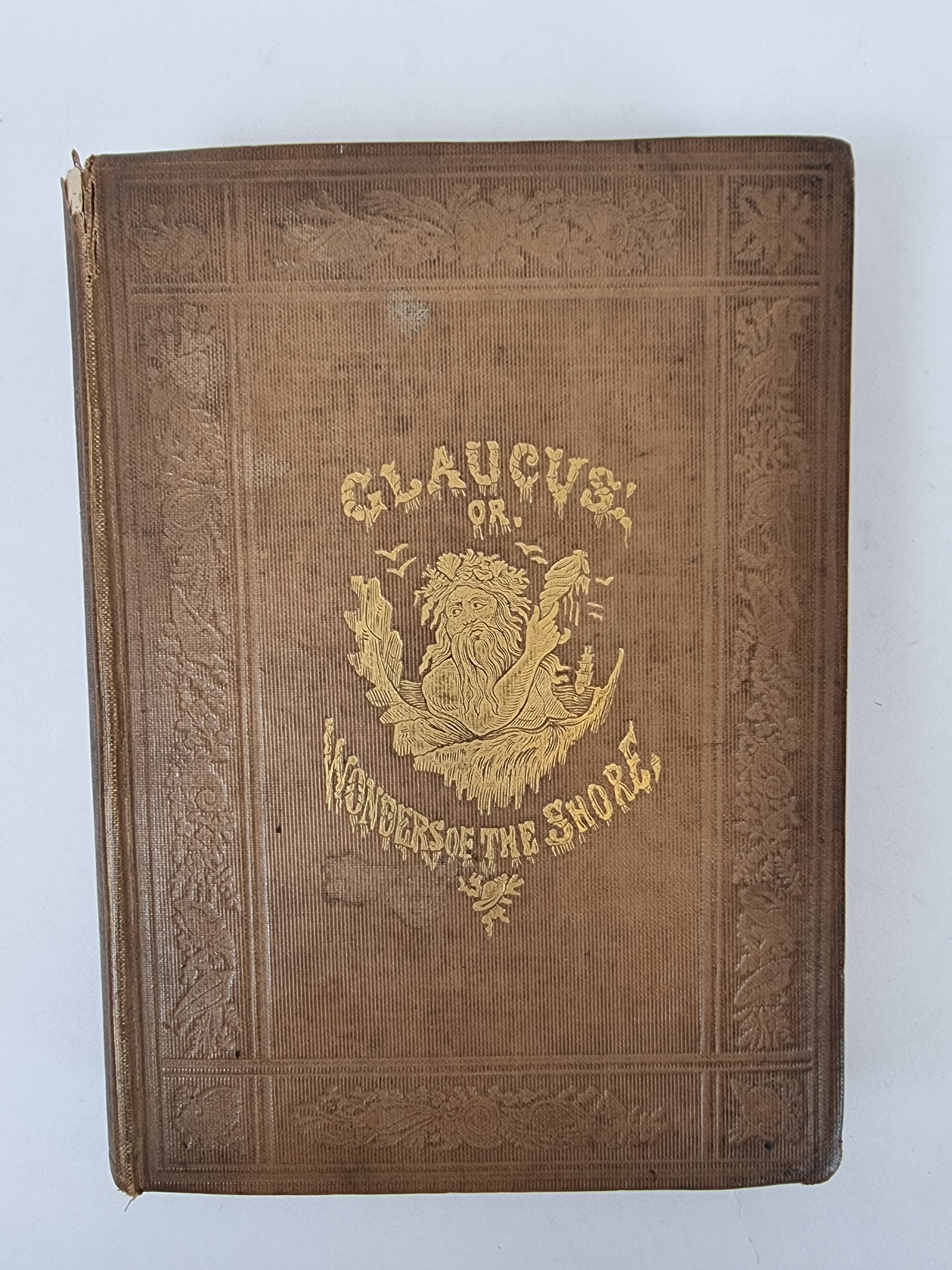 Glaucus; The Wonders of the Shore, Charles Kingsley — 4th Edition