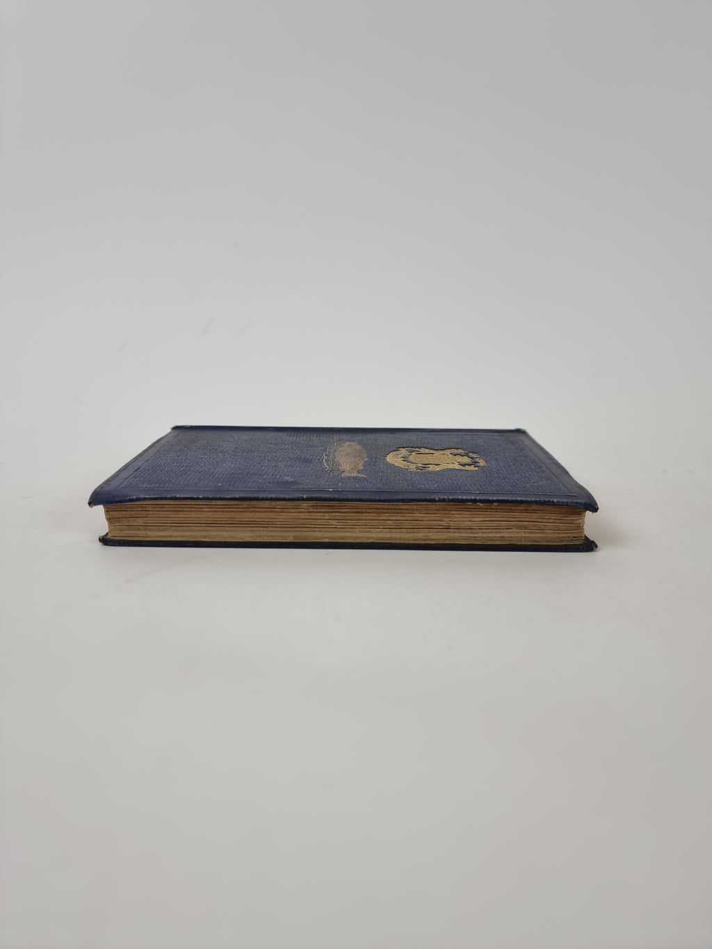 The Practical Angler, W. C. Stewart — 2nd Edition