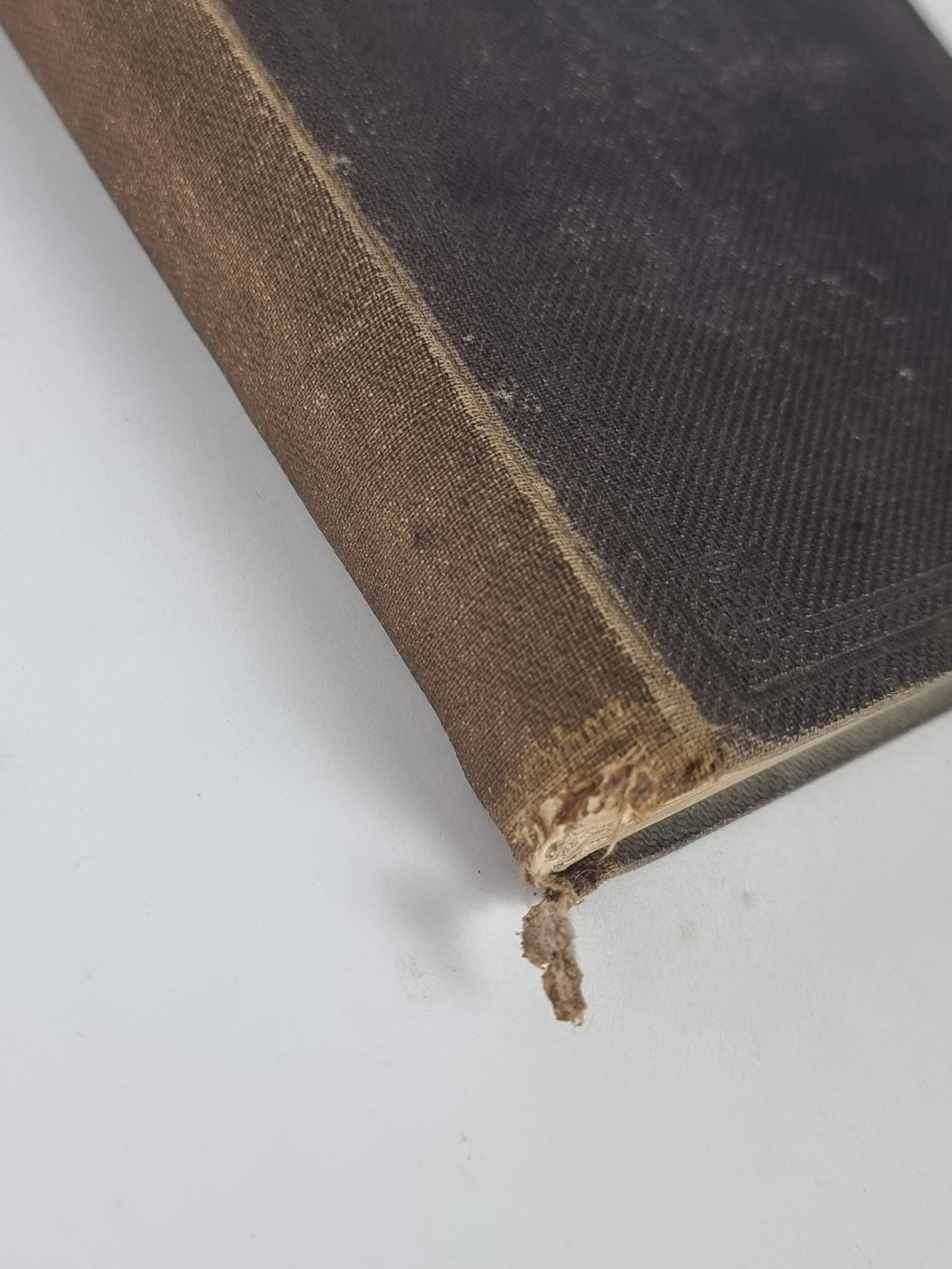 On The Popular Names of British Plants, R.C.A. Prior — 2nd Edition