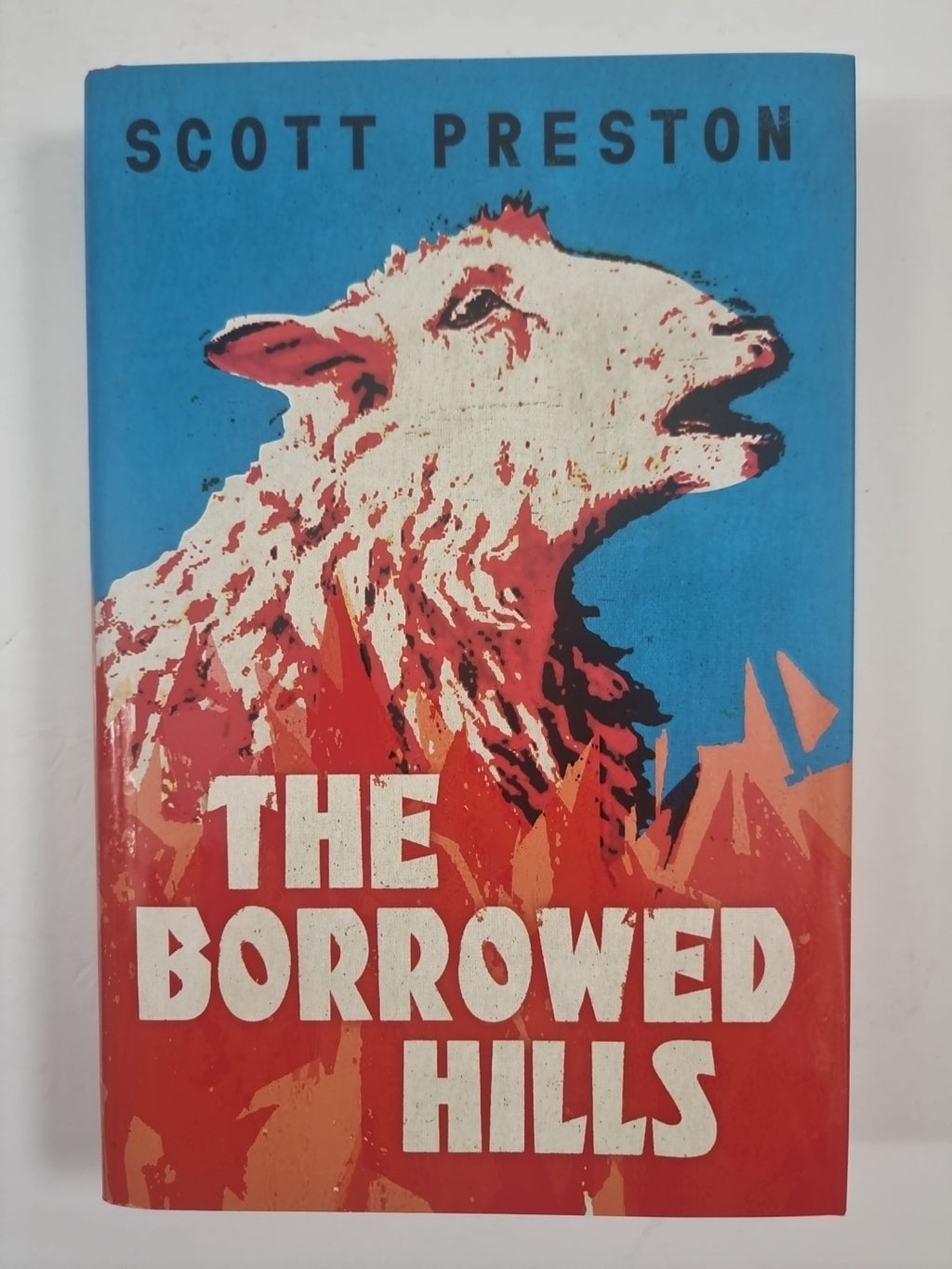 The Borrowed Hills  Scott Preston 