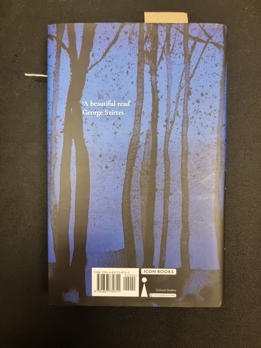 Into the Dark  Jacqueline Yallop 