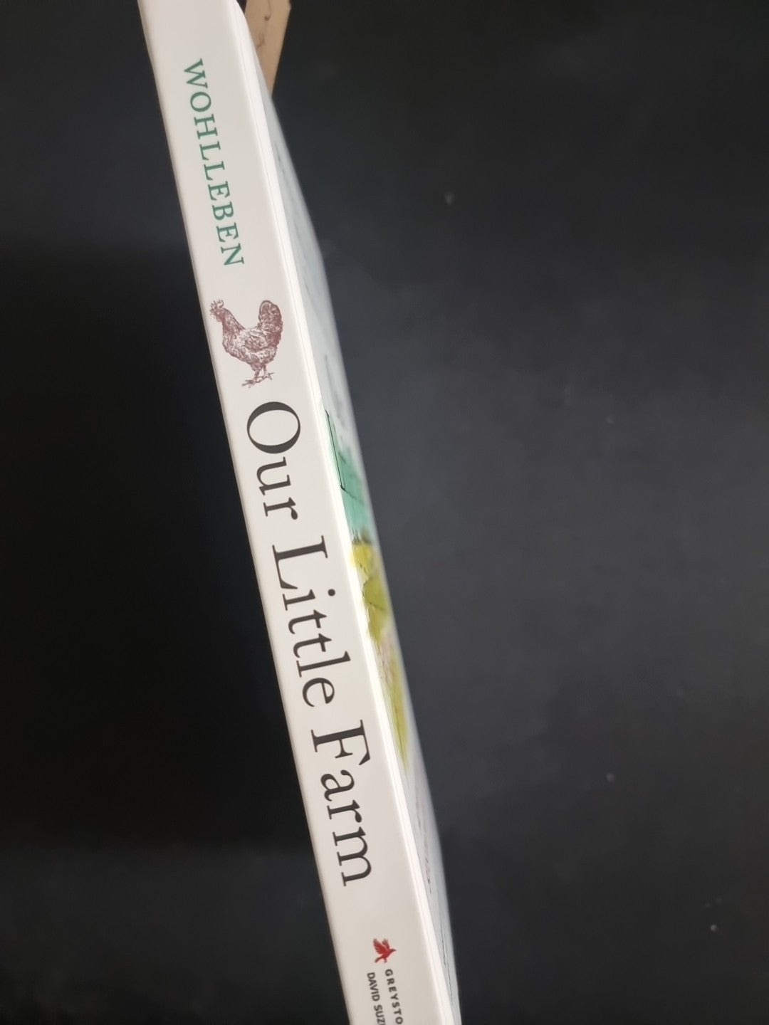 Our Little Farm Miriam Wohlleben 