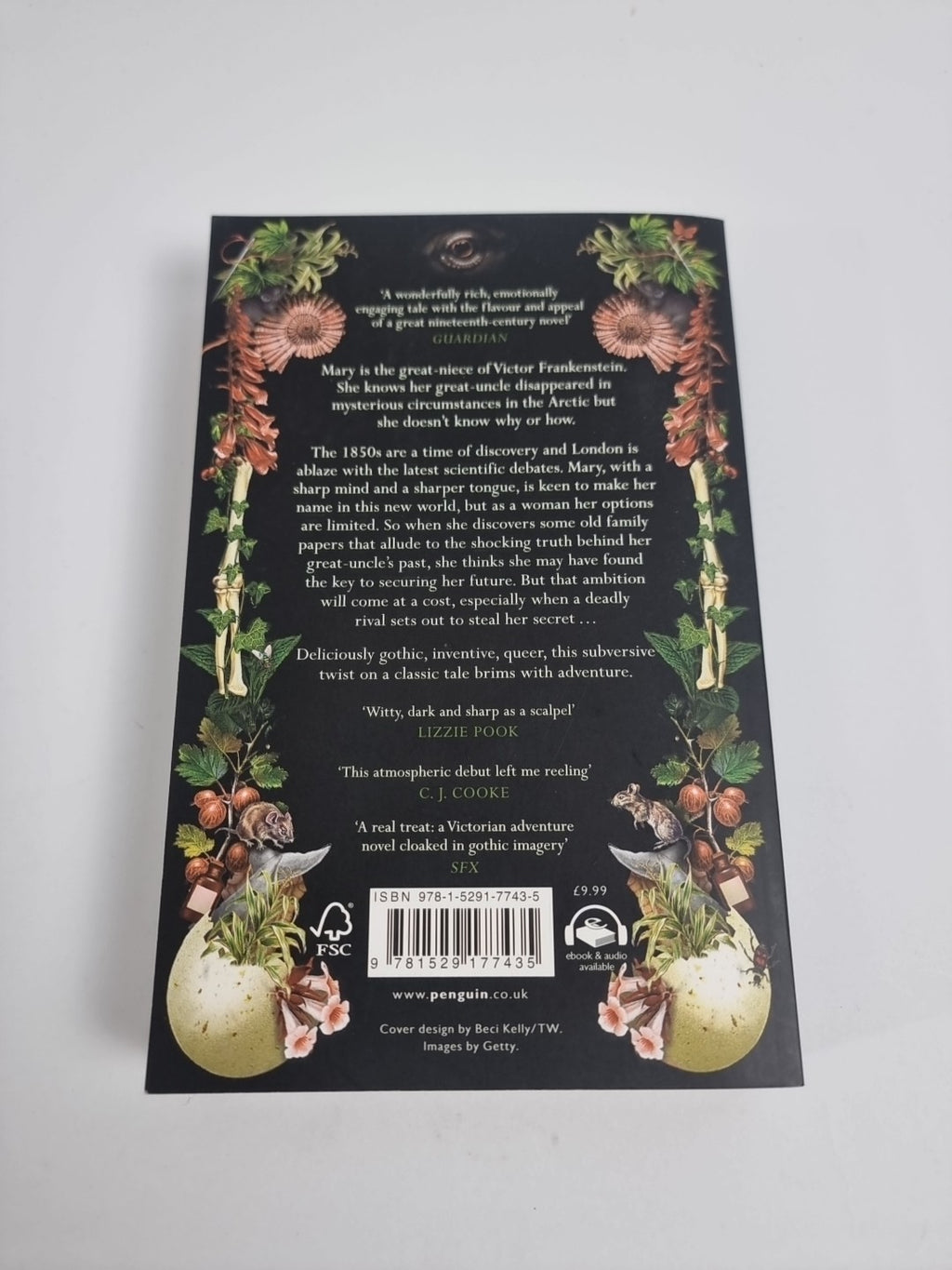 Our Hideous Progeny: A thrilling Gothic C. E. McGill Free Tracked Delivery New