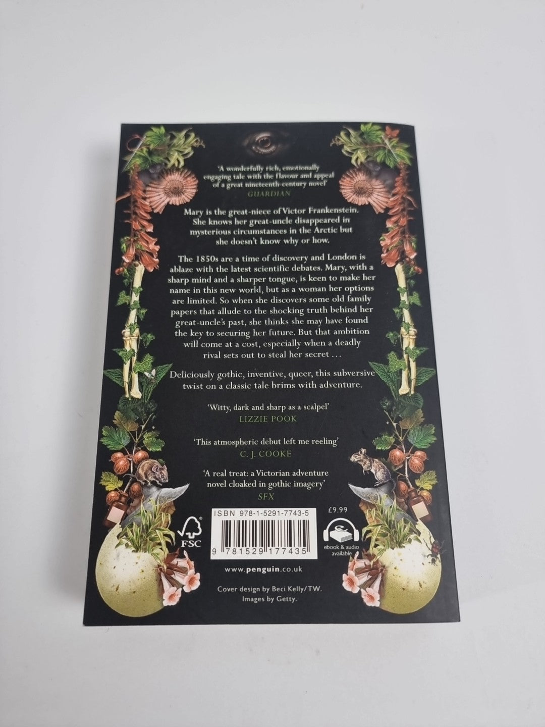 Our Hideous Progeny: A thrilling Gothic C. E. McGill Free Tracked Delivery New