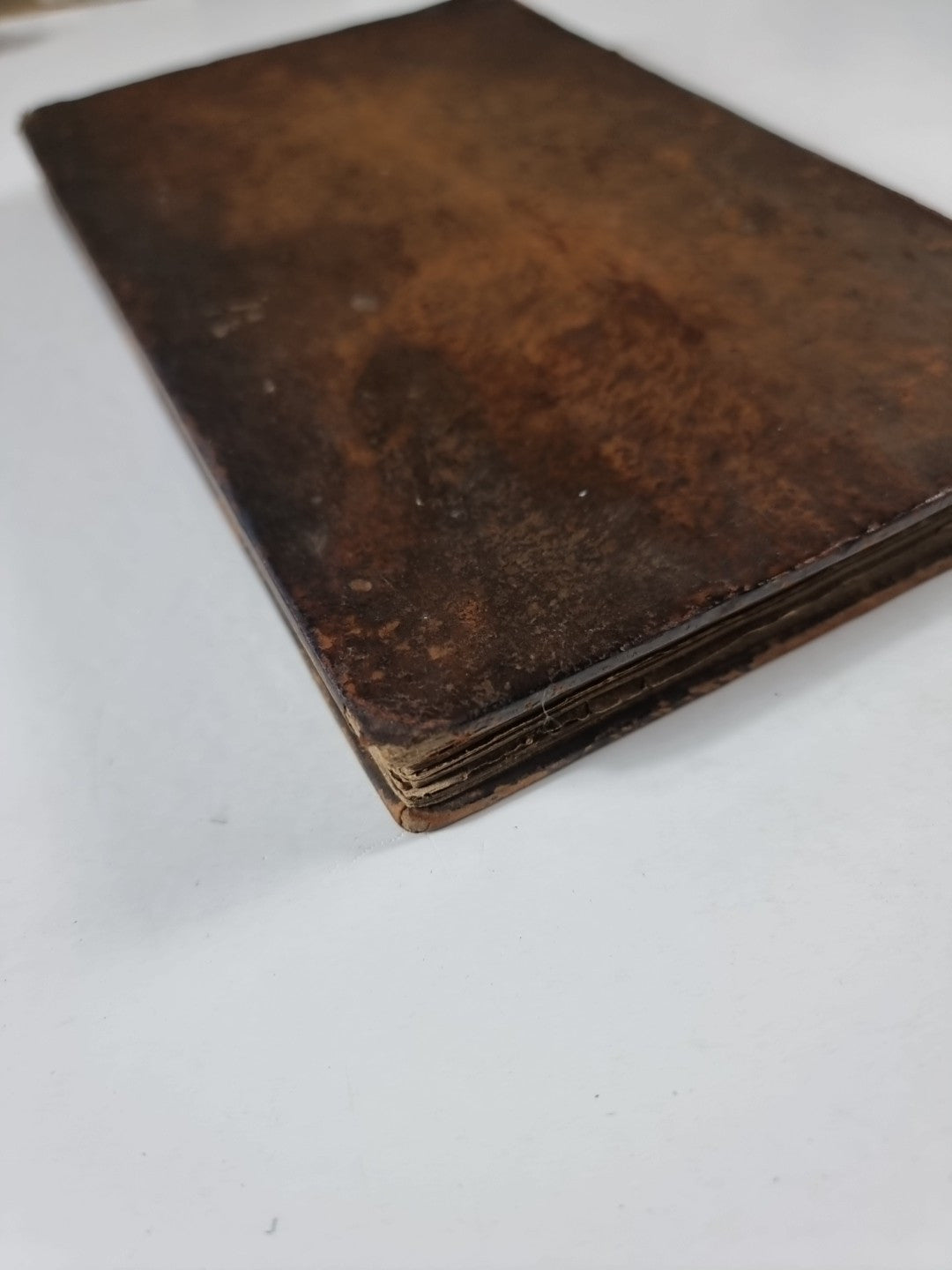 A Treatise on Domestic Pigeons, John Moore 1765 1st Edition, Very Rare