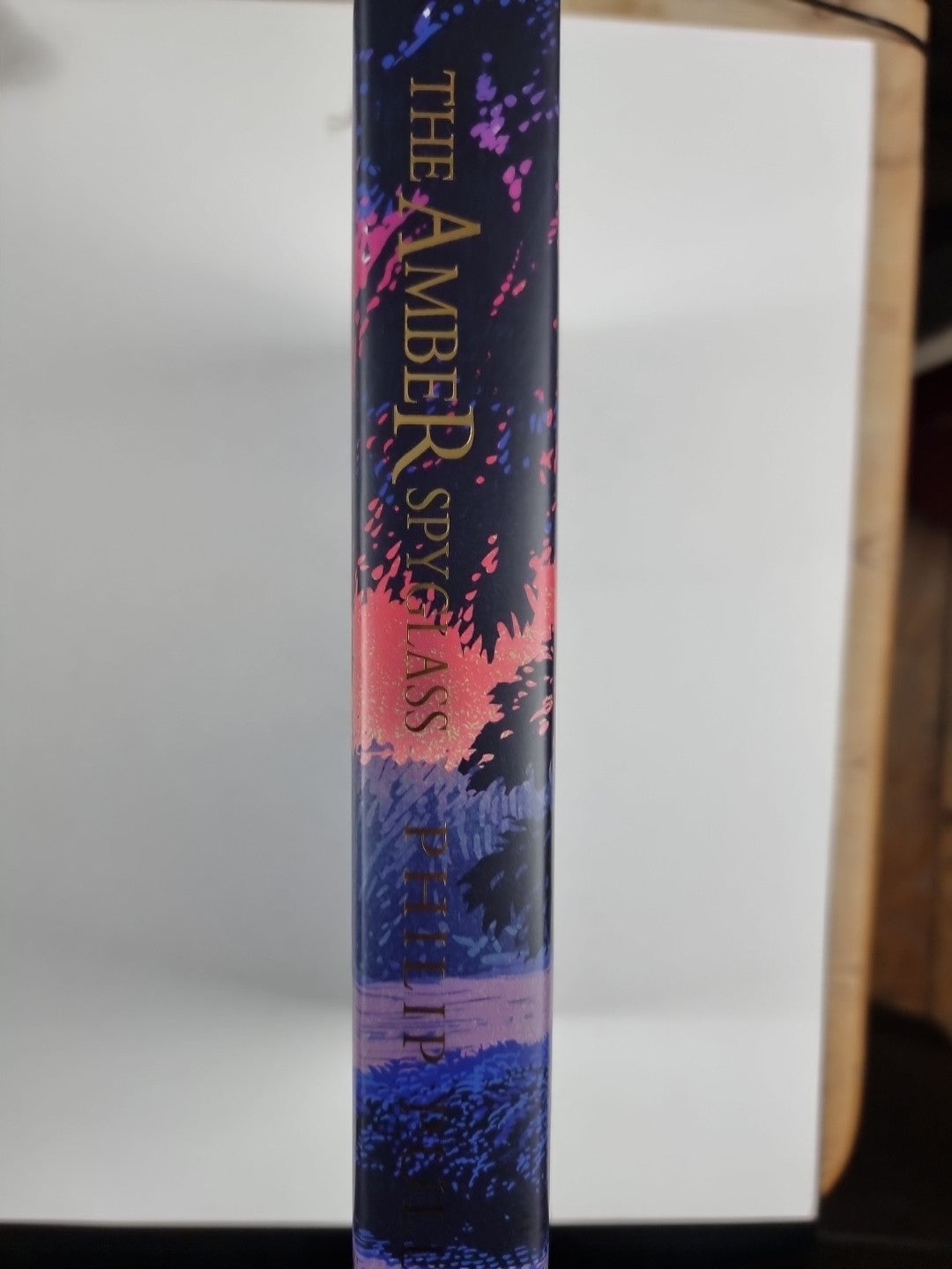 The Amber Spyglass by Philip Pullman Illustrated in Colour by Chris Wormell