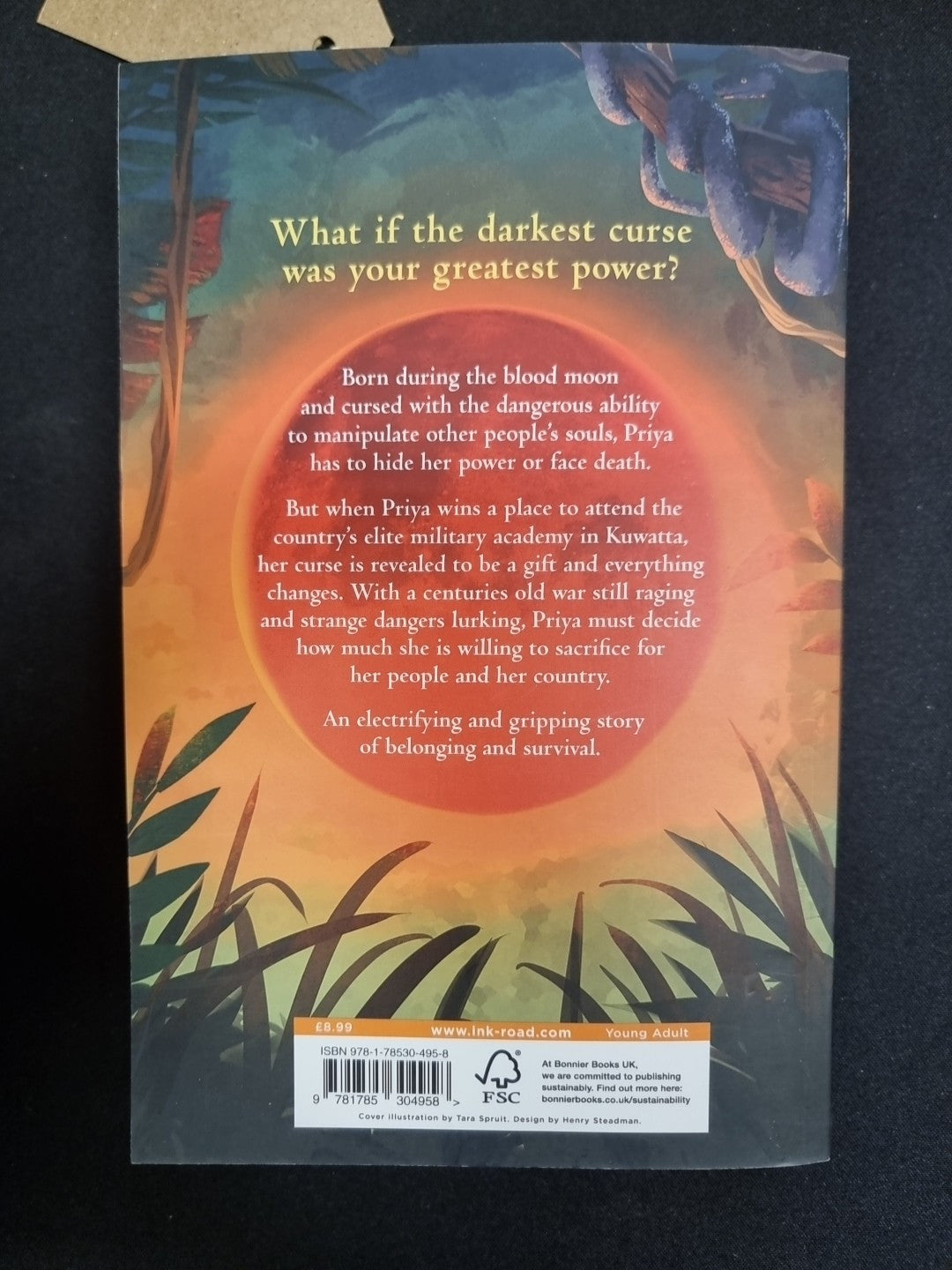 Within the Heart of Wicked Creatures: An epic new rivals-to-love