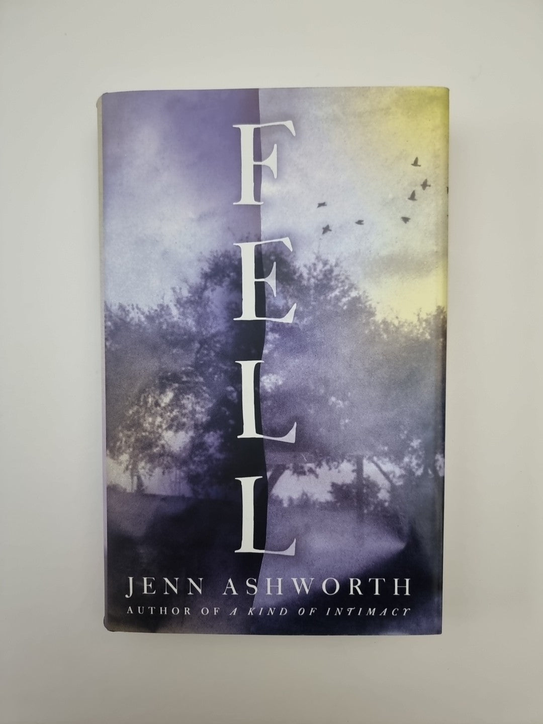 Fell by Jenn Ashworth (Hardcover, 2016) 1st Edition Signed