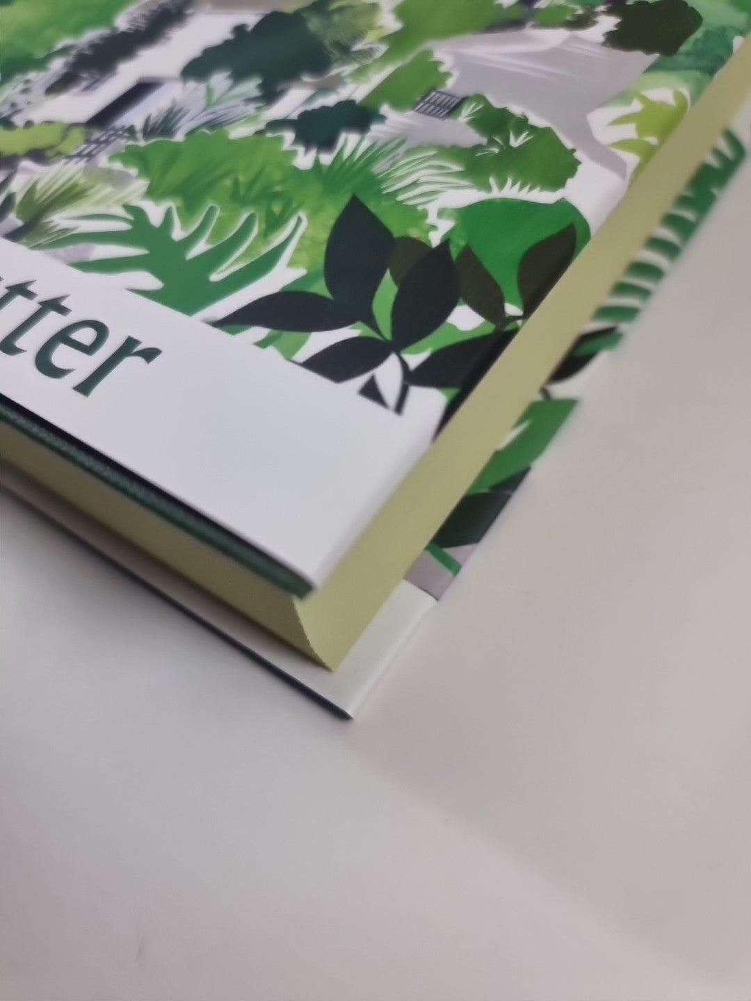 All Before Me: A Search for Belonging... 1st edition Signed