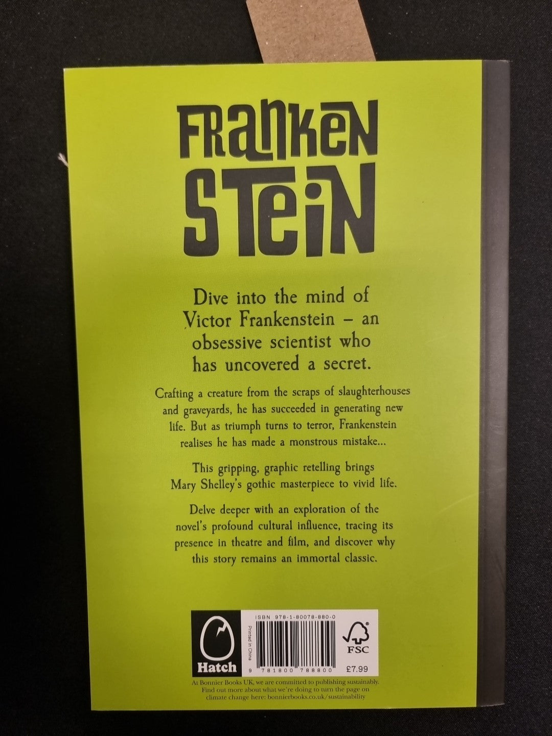 Frankenstein by Mary Shelley Paperback 