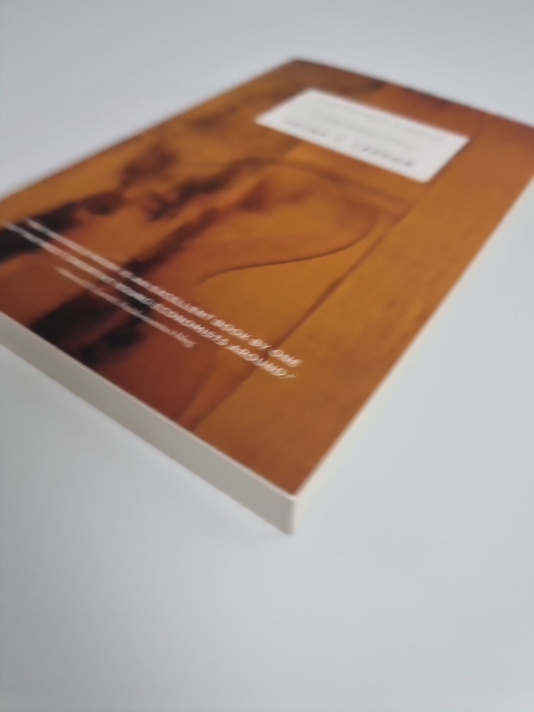 The Invisible Hook  Peter T. Leeson - Free Tracked Delivery New