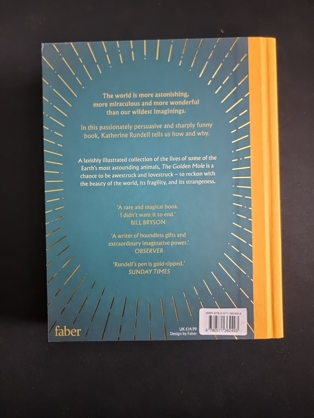 The Golden Mole: Katherine Rundell-1st EDITION  SIGNED 