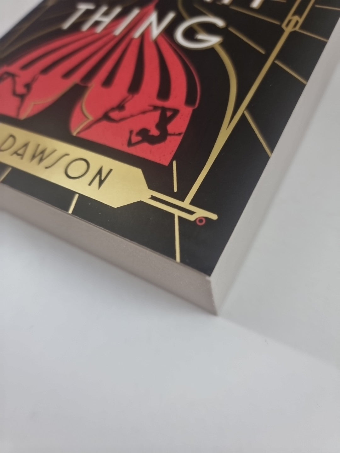 The First Bright Thing  J. R. Dawson 