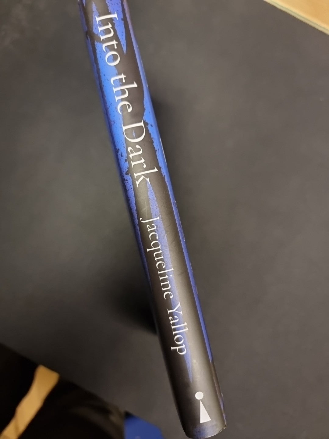 Into the Dark  Jacqueline Yallop 