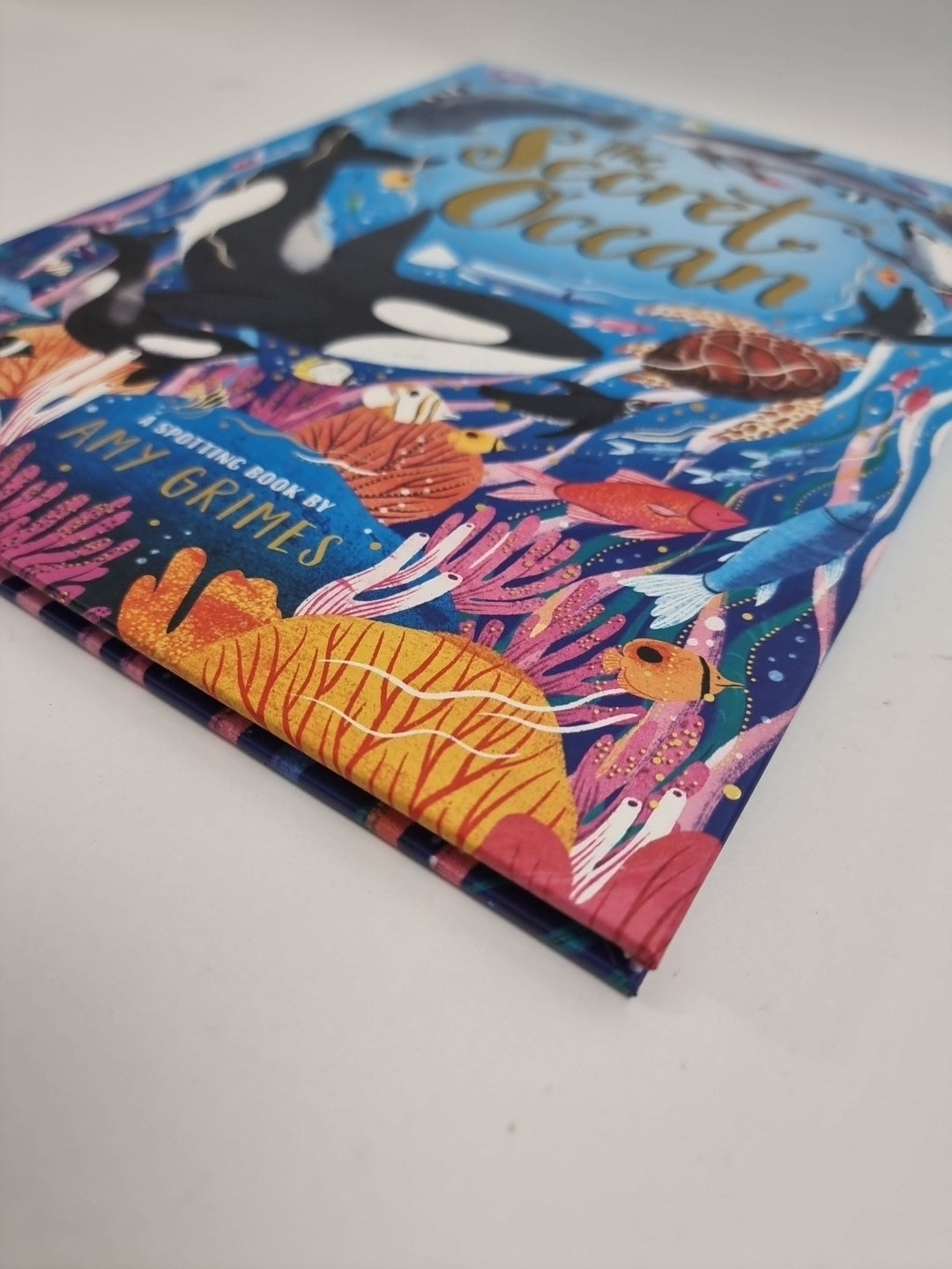 The Secret Ocean by Amy Grimes NEW Free UK Delivery