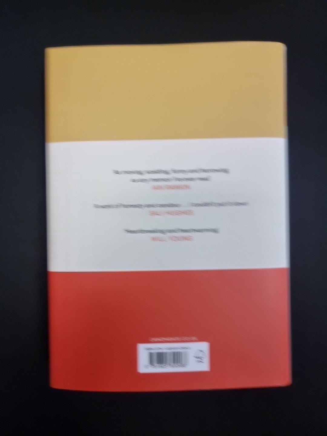 O Brother by John Niven  