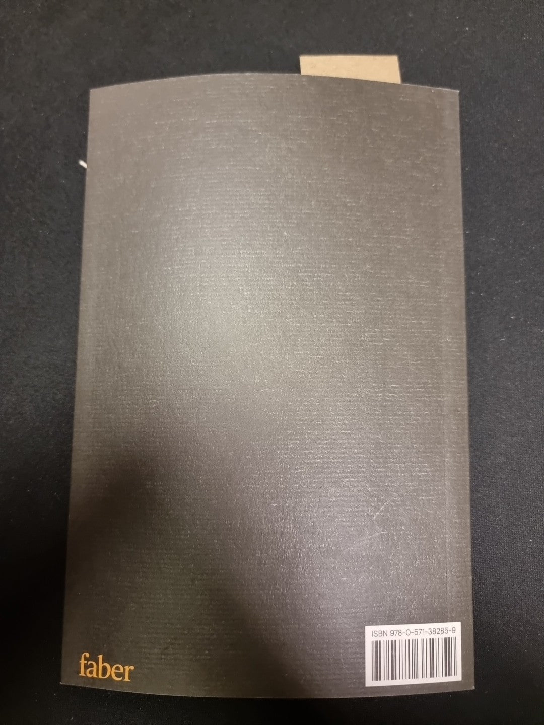 The Owl and the Nightingale by Simon Armitage 