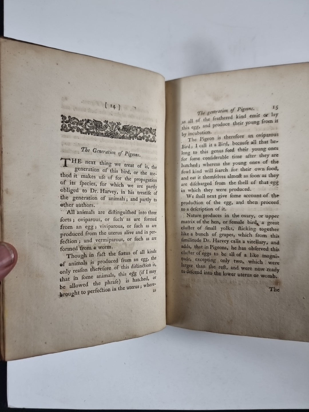 A Treatise on Domestic Pigeons, John Moore 1765 1st Edition, Very Rare