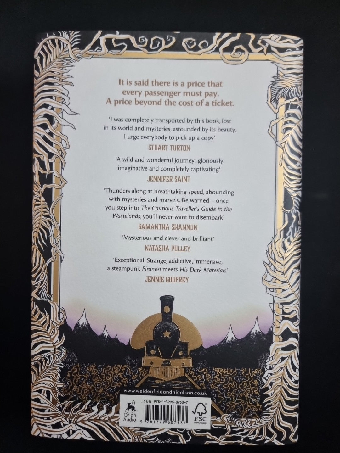 The Cautious Traveller's Guide to The Wastelands by Sarah Brooks 