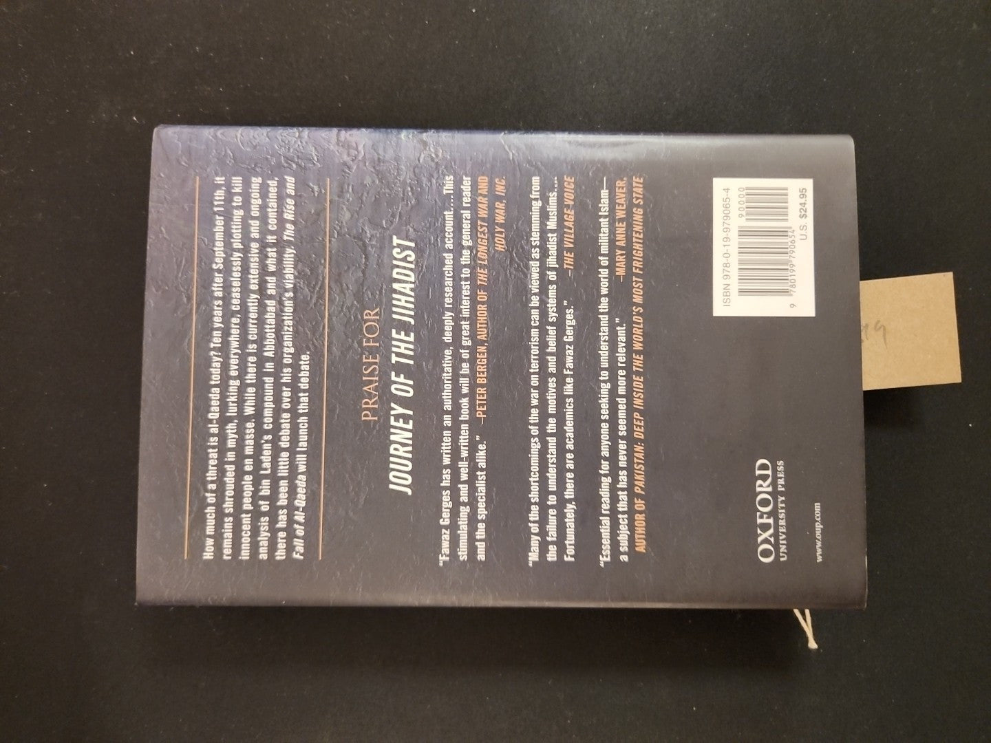 The Rise and Fall of Al-Qaeda by Fawaz A. Gerges 