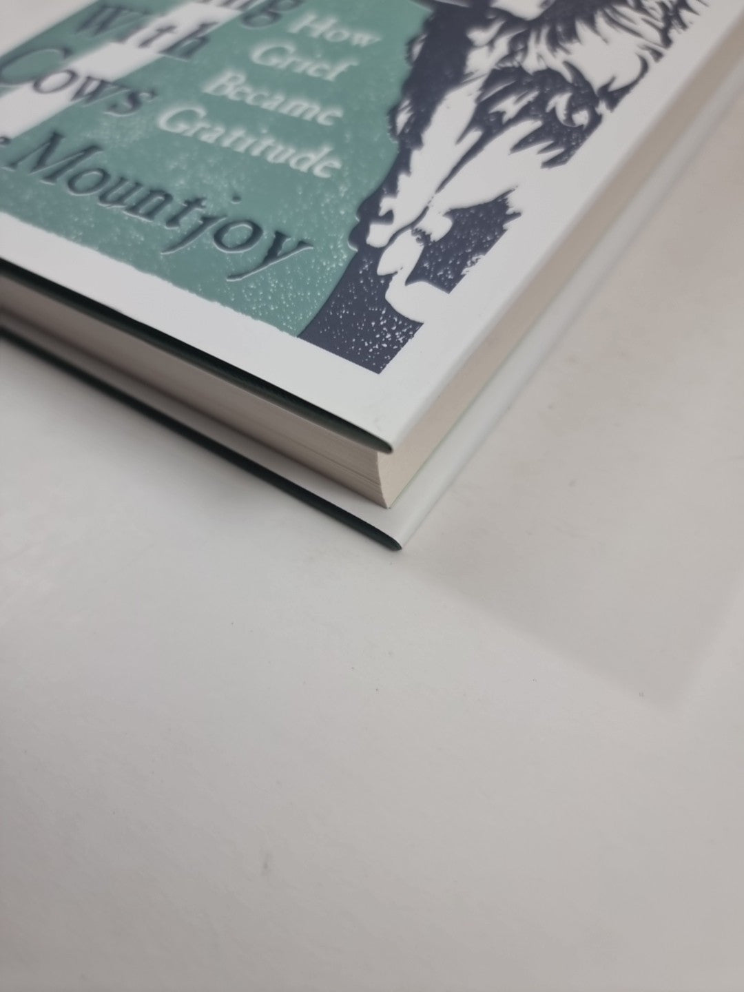 Being With Cows  Dave Mountjoy 