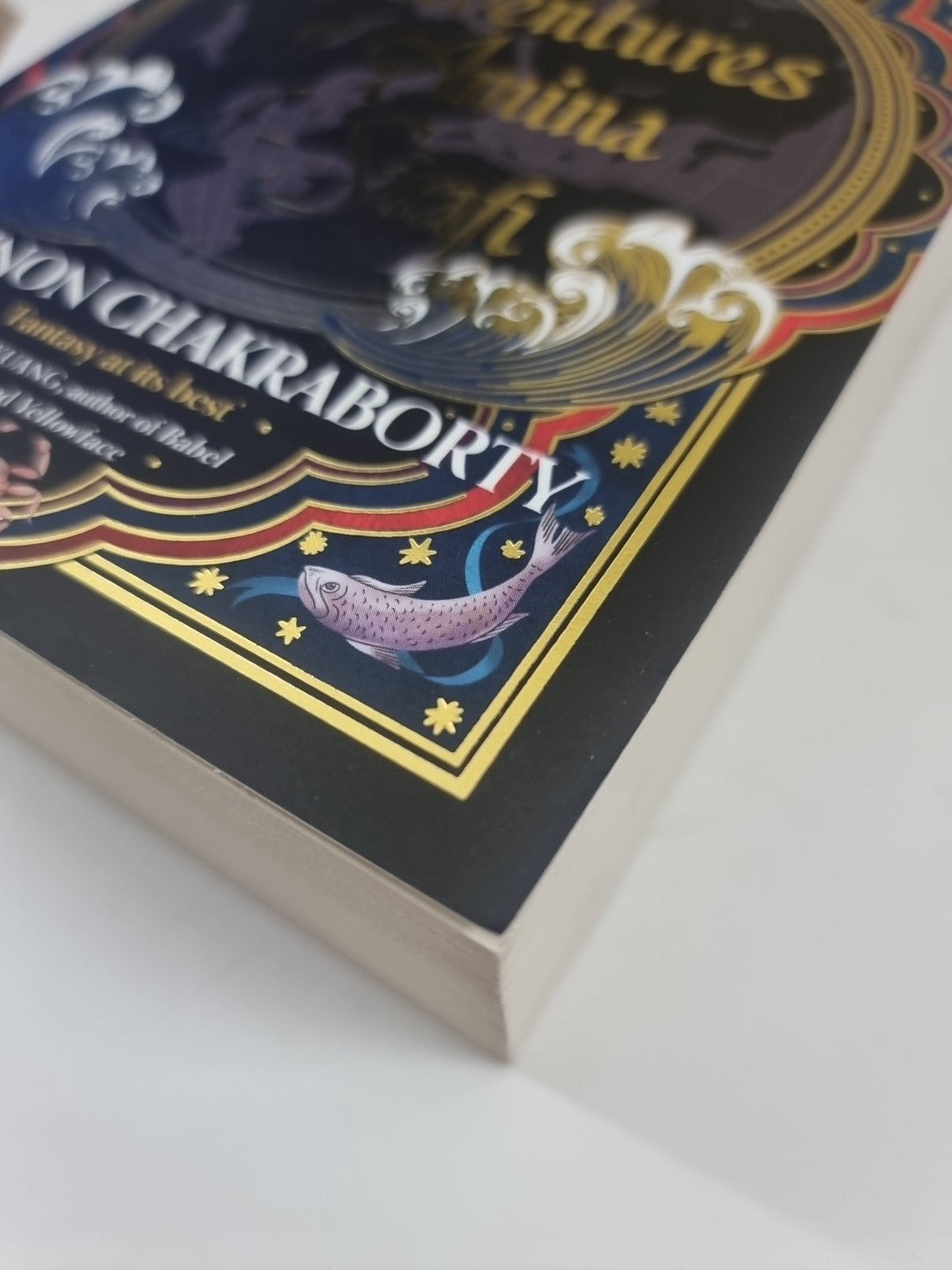 The Adventures of Amina Al-Sirafi by Shannon Chakraborty 