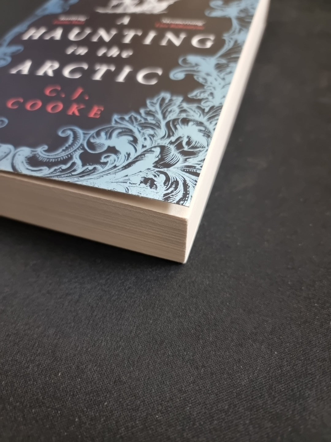 A Haunting in the Arctic by C.J. Cooke Paperback 