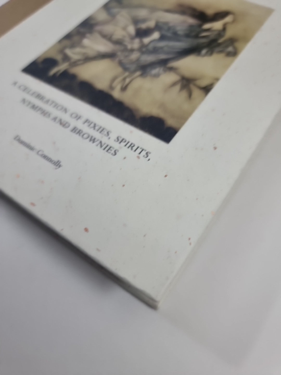 Fairies  Dominic Connolly 