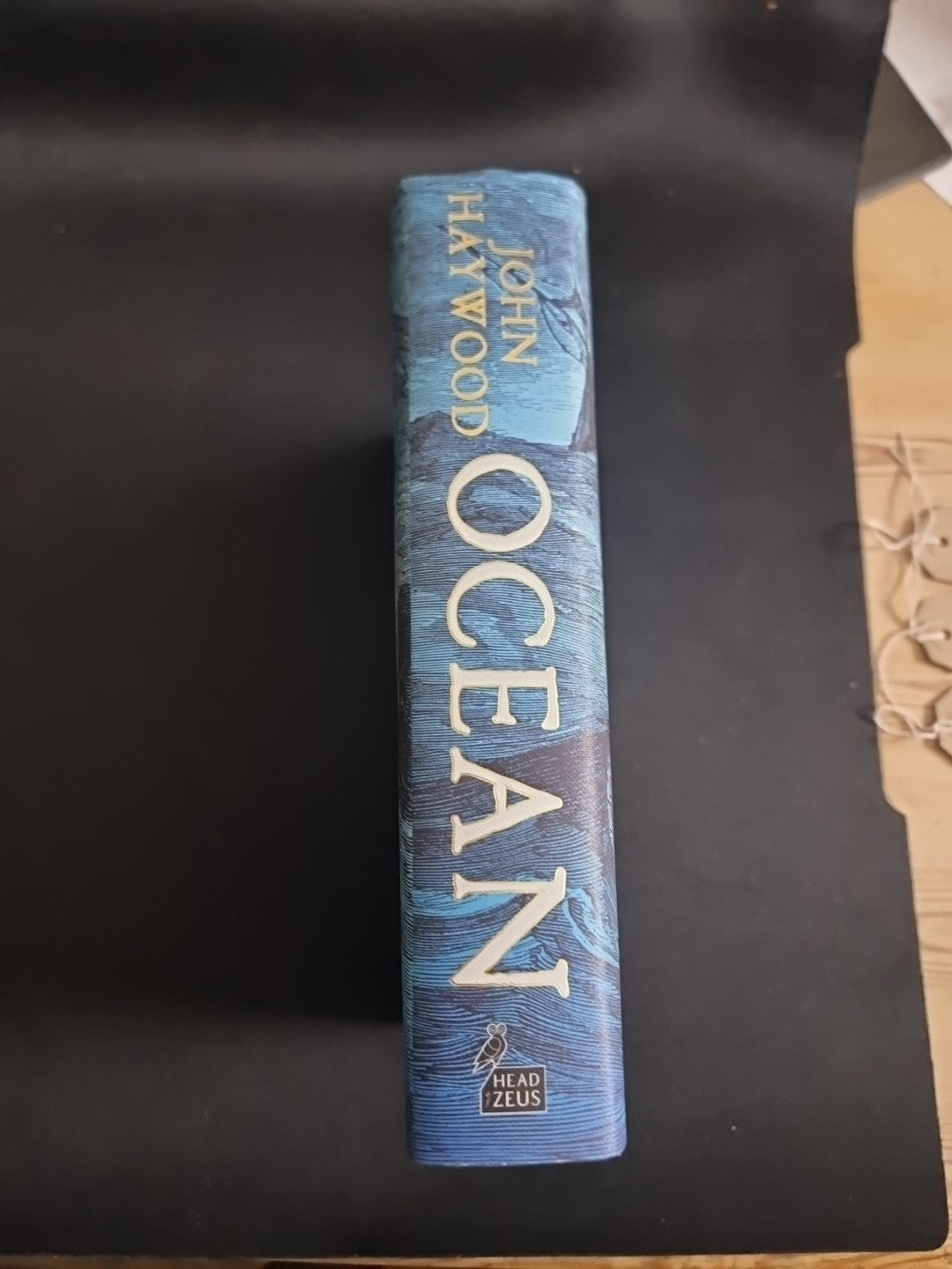 Ocean By John Haywood ***1st Edition*** 