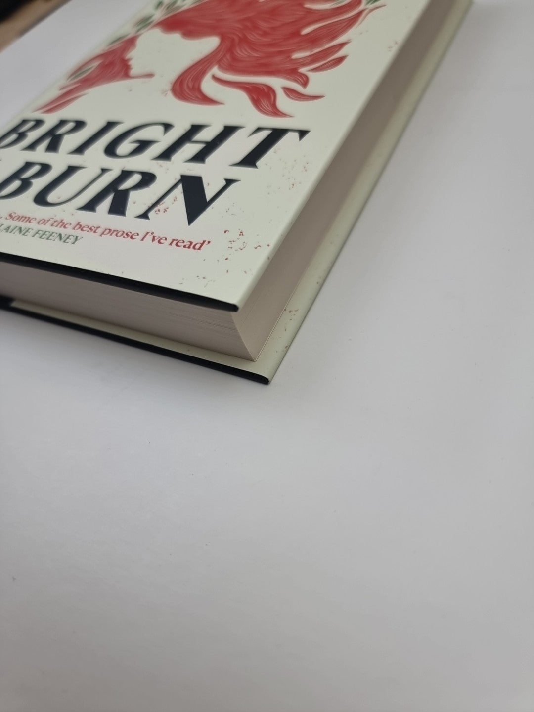 Bright I Burn by Molly Aitken Hardcover Book 1st Edition 