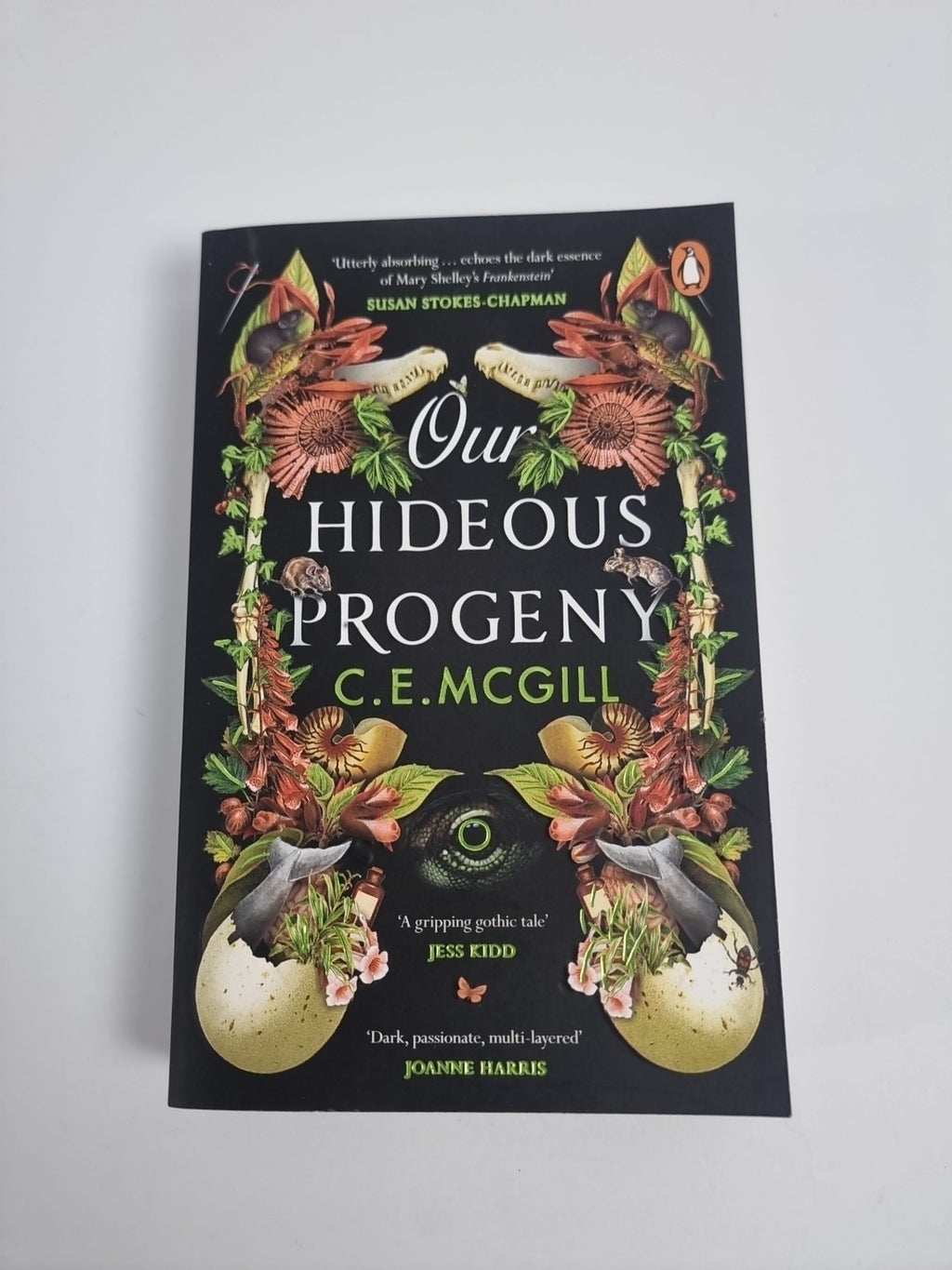 Our Hideous Progeny: A thrilling Gothic C. E. McGill Free Tracked Delivery New