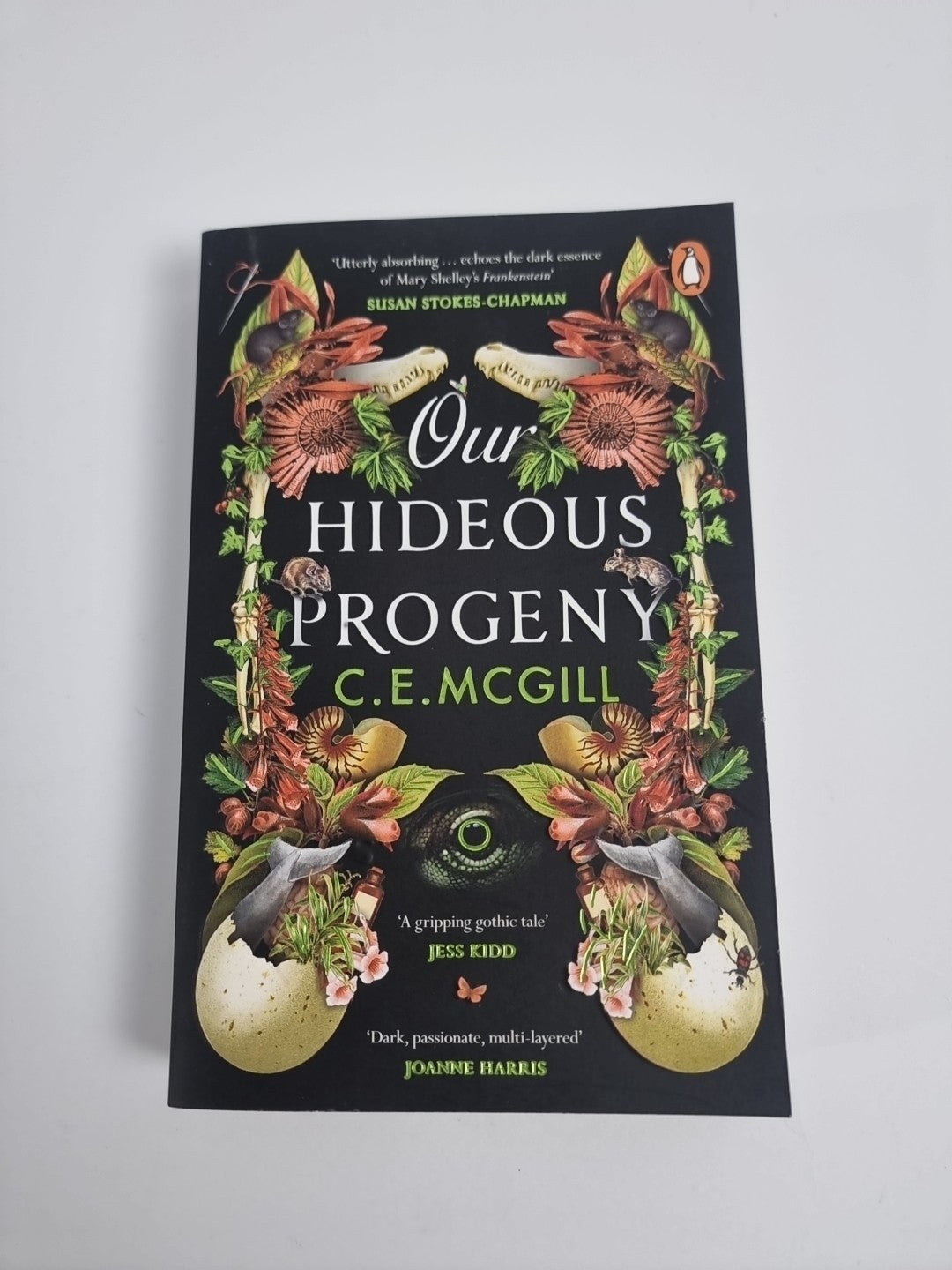 Our Hideous Progeny: A thrilling Gothic C. E. McGill Free Tracked Delivery New