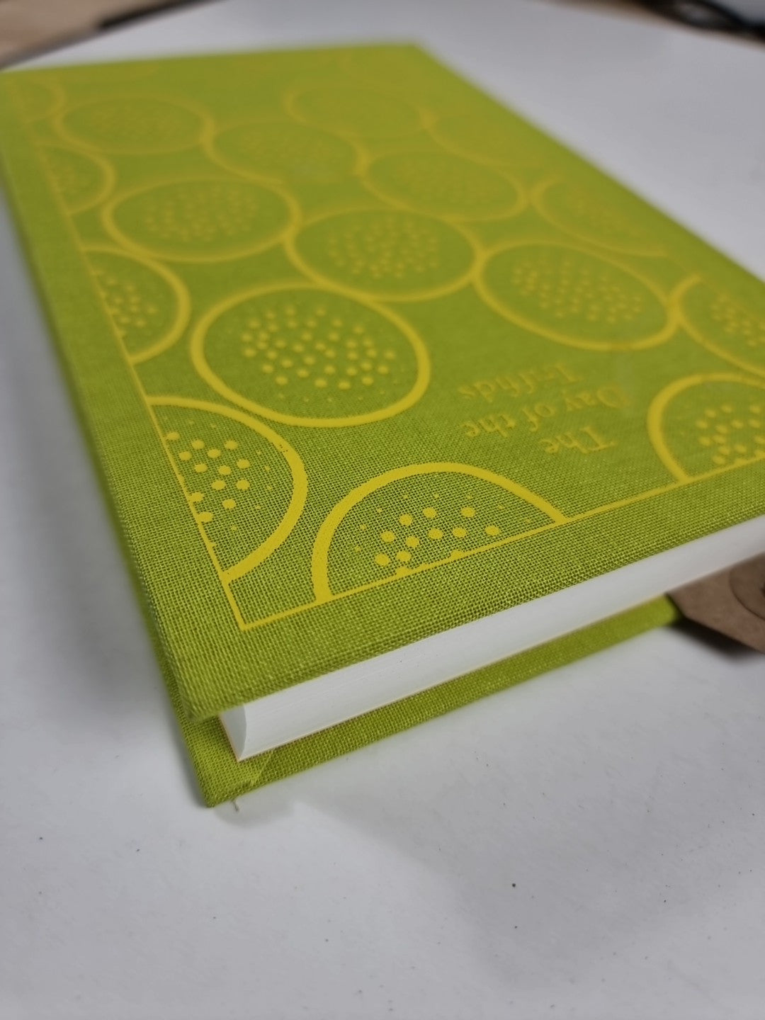 The Day of the Triffids by John Wyndham 