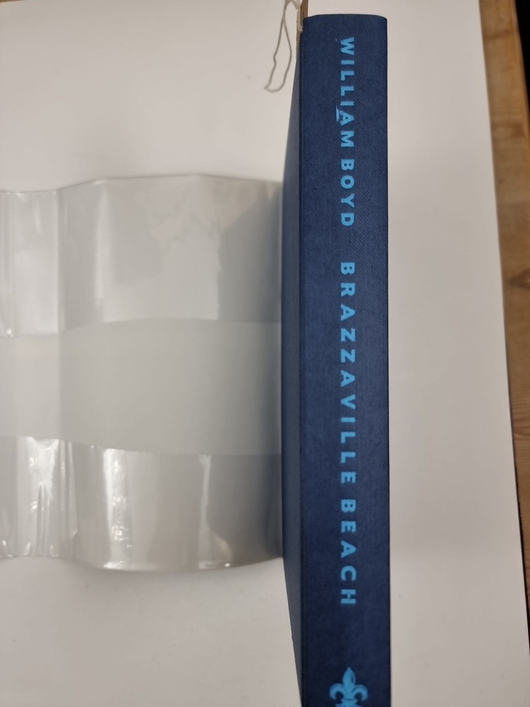 Brazzaville Beach by William Boyd First Edition Hardback Book 1/1 1990 Fiction