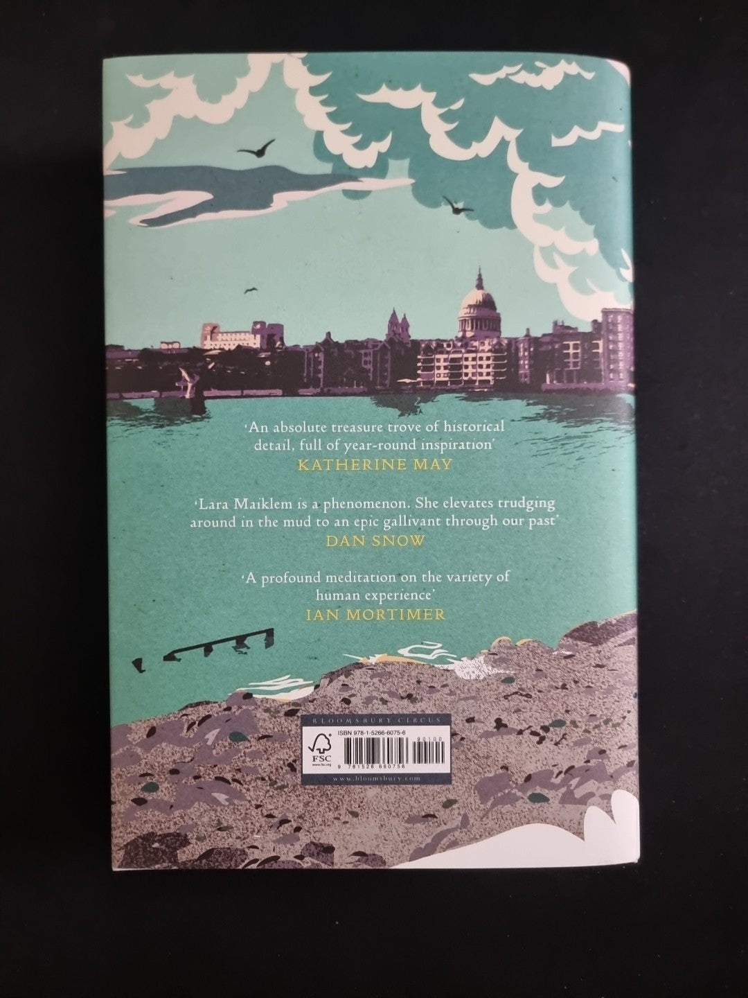 1st Edition: A Mudlarking Year  Lara Maiklem 