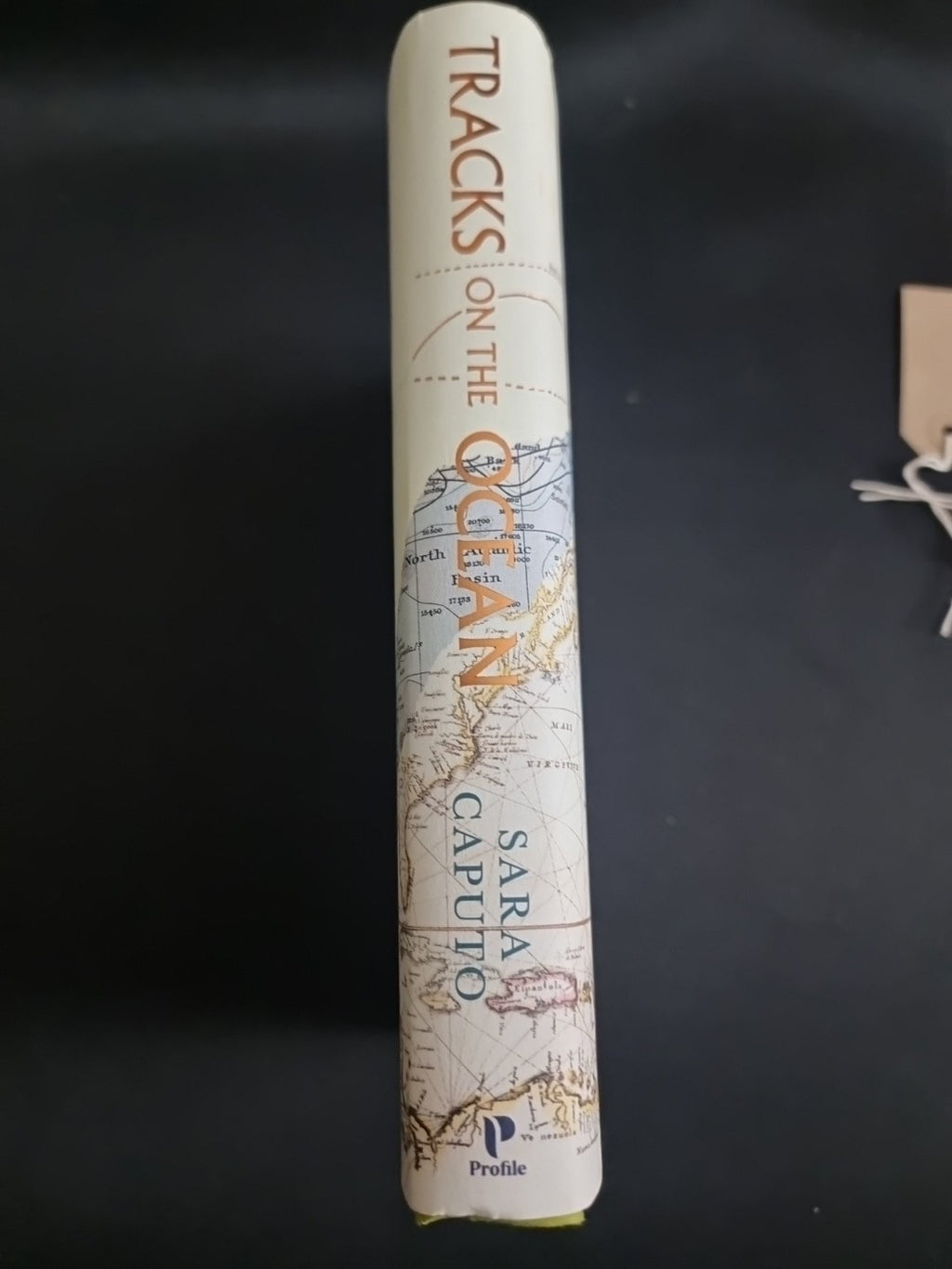 Tracks on the Ocean By Dr Sara Caputo ***1st  Edition ***