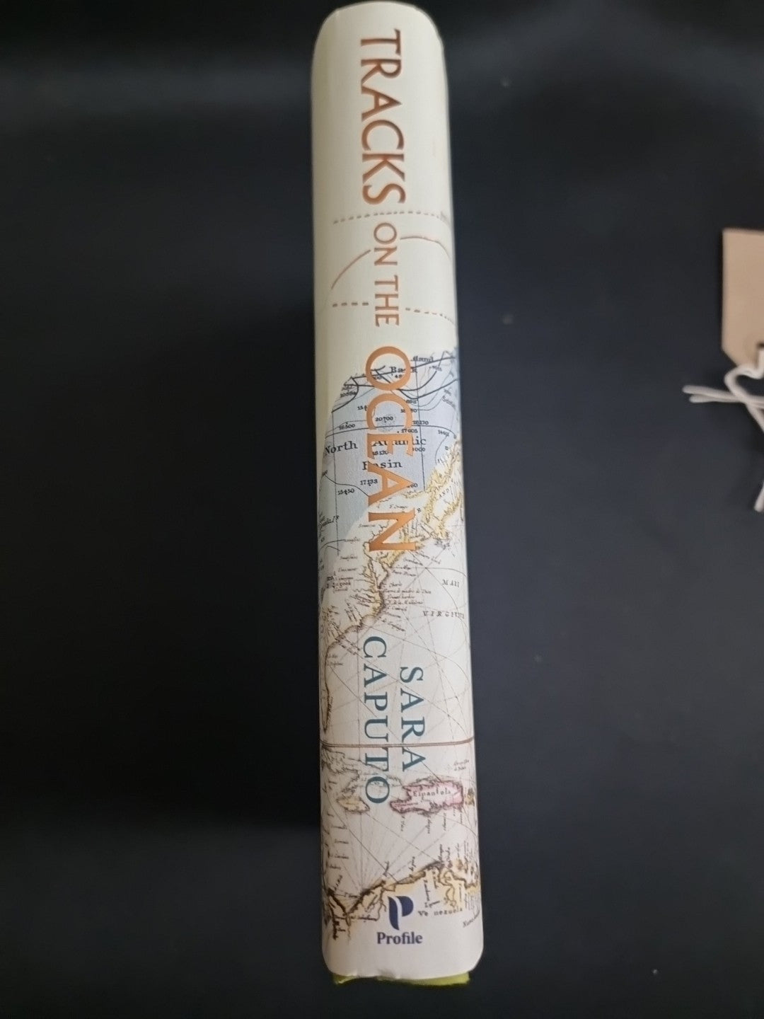 Tracks on the Ocean By Dr Sara Caputo ***1st  Edition ***