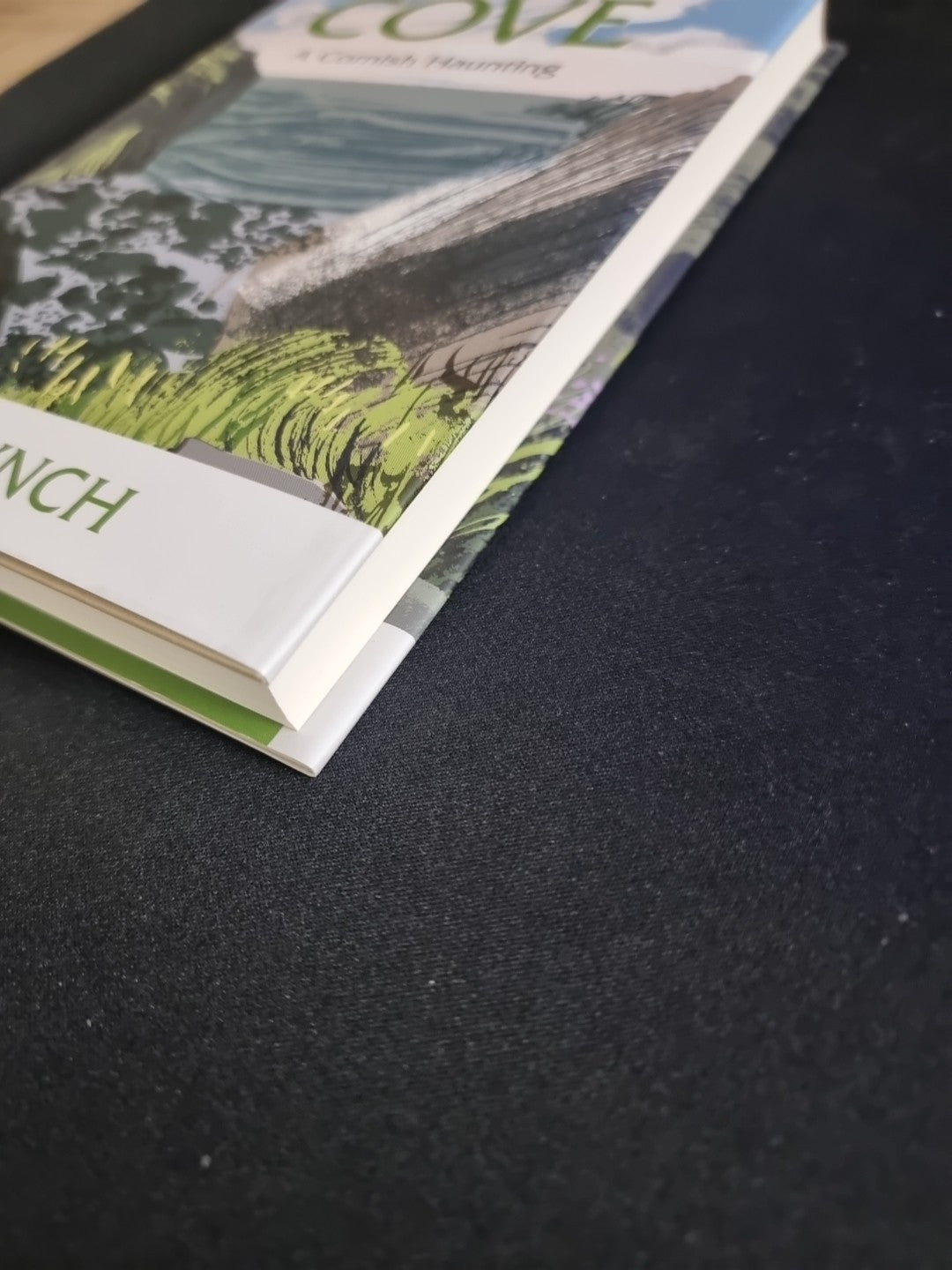 The Cove  Beth Lynch 