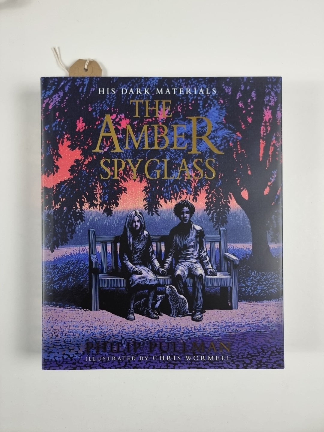 The Amber Spyglass by Philip Pullman Illustrated in Colour by Chris Wormell