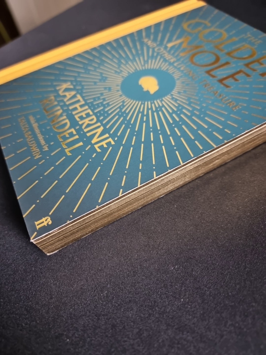 The Golden Mole: Katherine Rundell-1st EDITION  SIGNED 