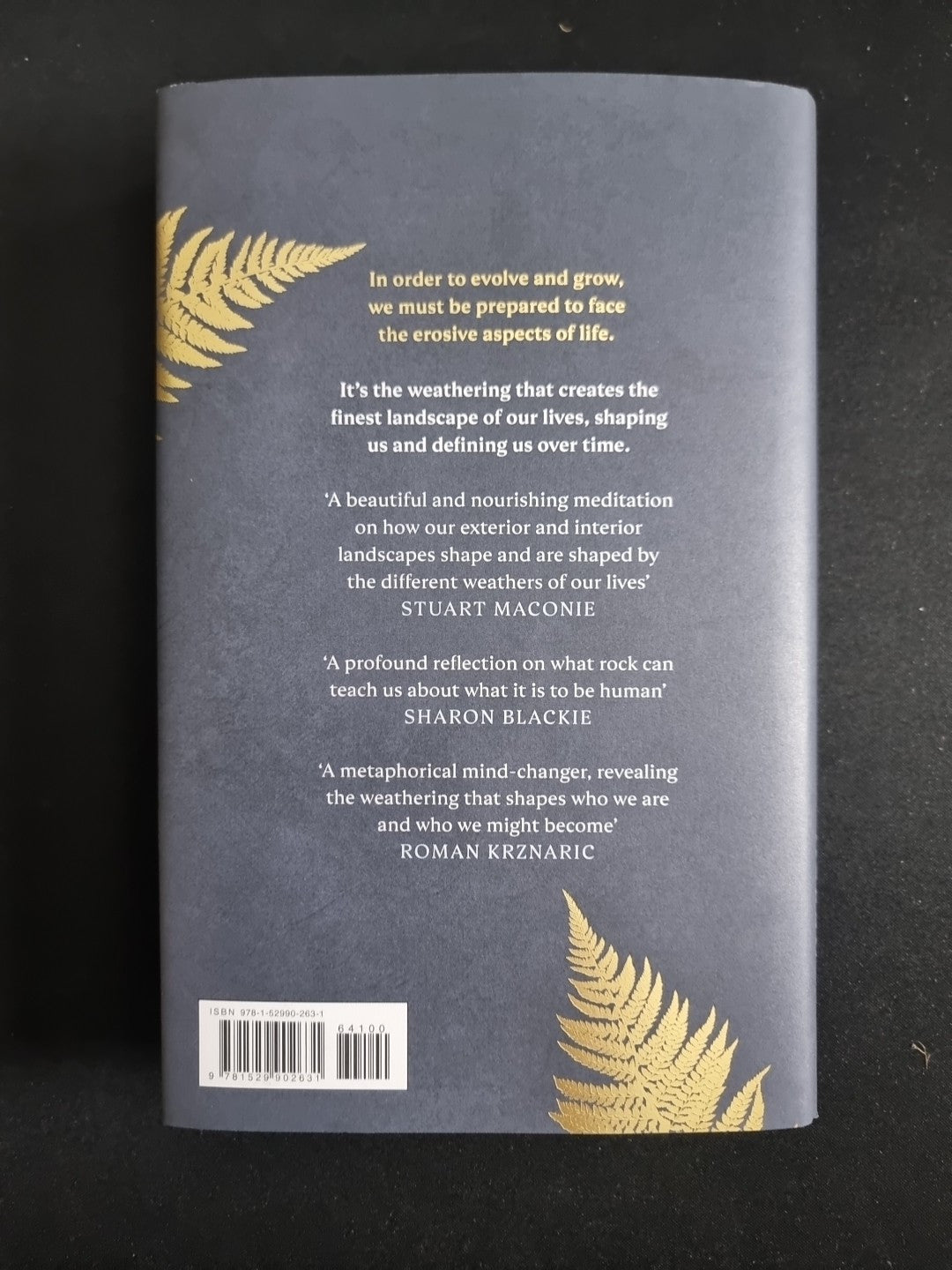 Weathering Ruth Allen 