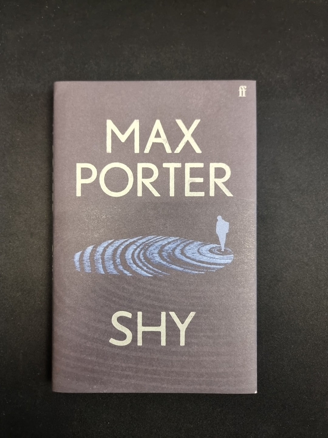 Shy Main by Porter, Max (author)